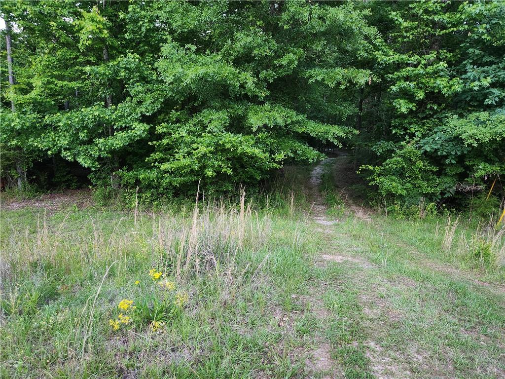 840 Amelia Road