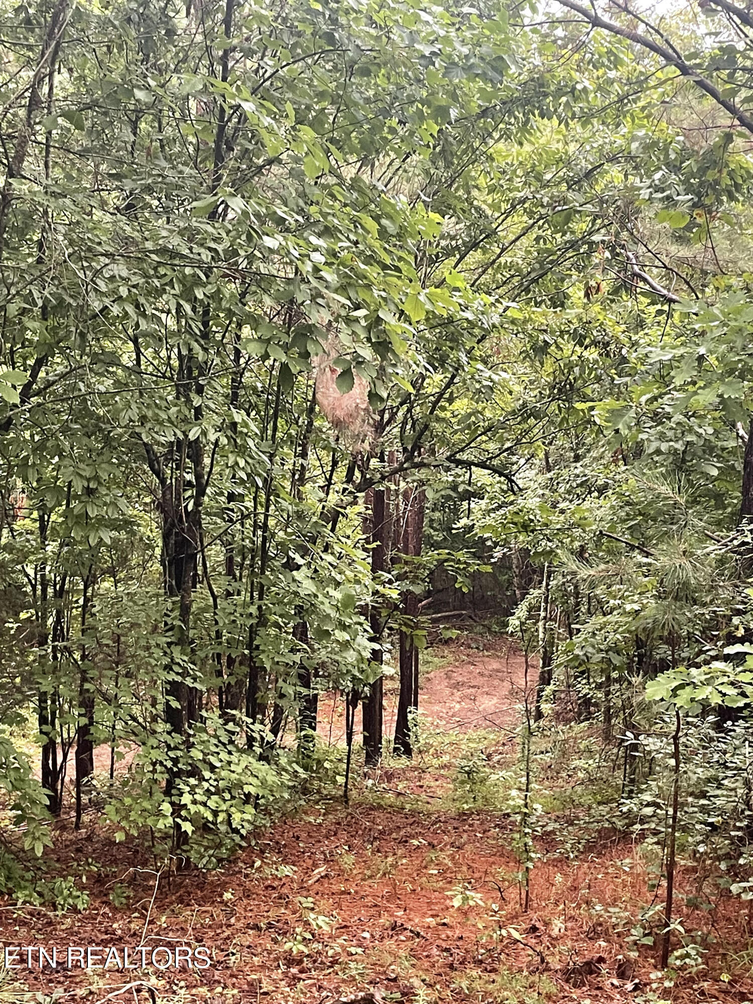 400 Moore Cemetery Rd