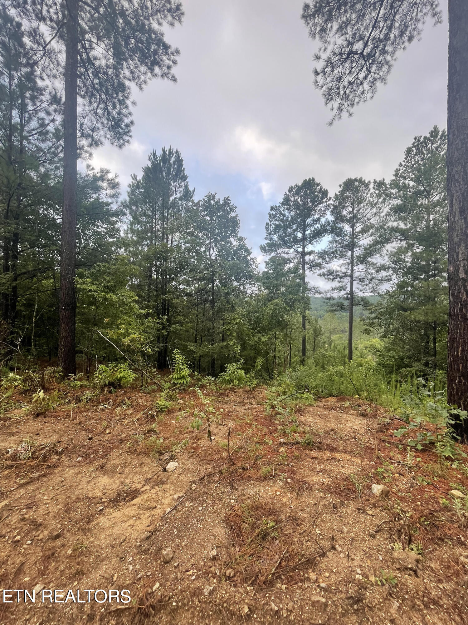 400 Moore Cemetery Rd