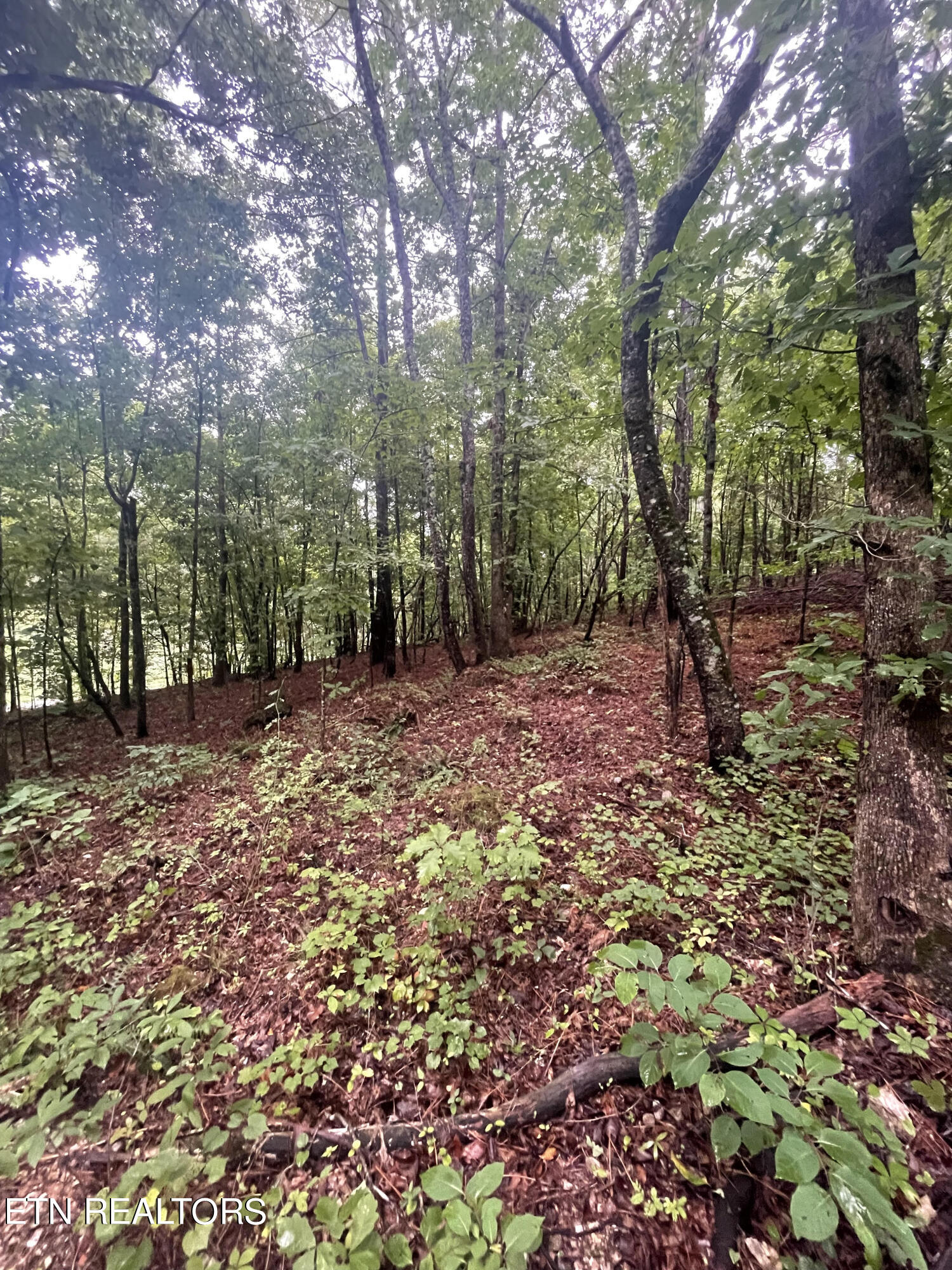 400 Moore Cemetery Rd