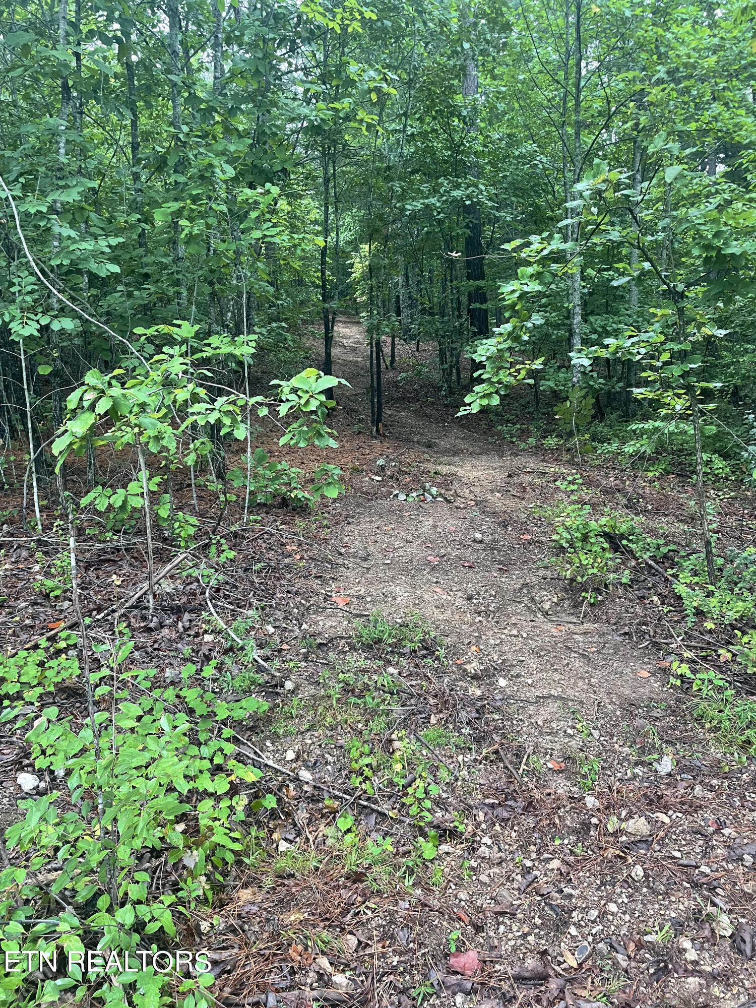 400 Moore Cemetery Rd
