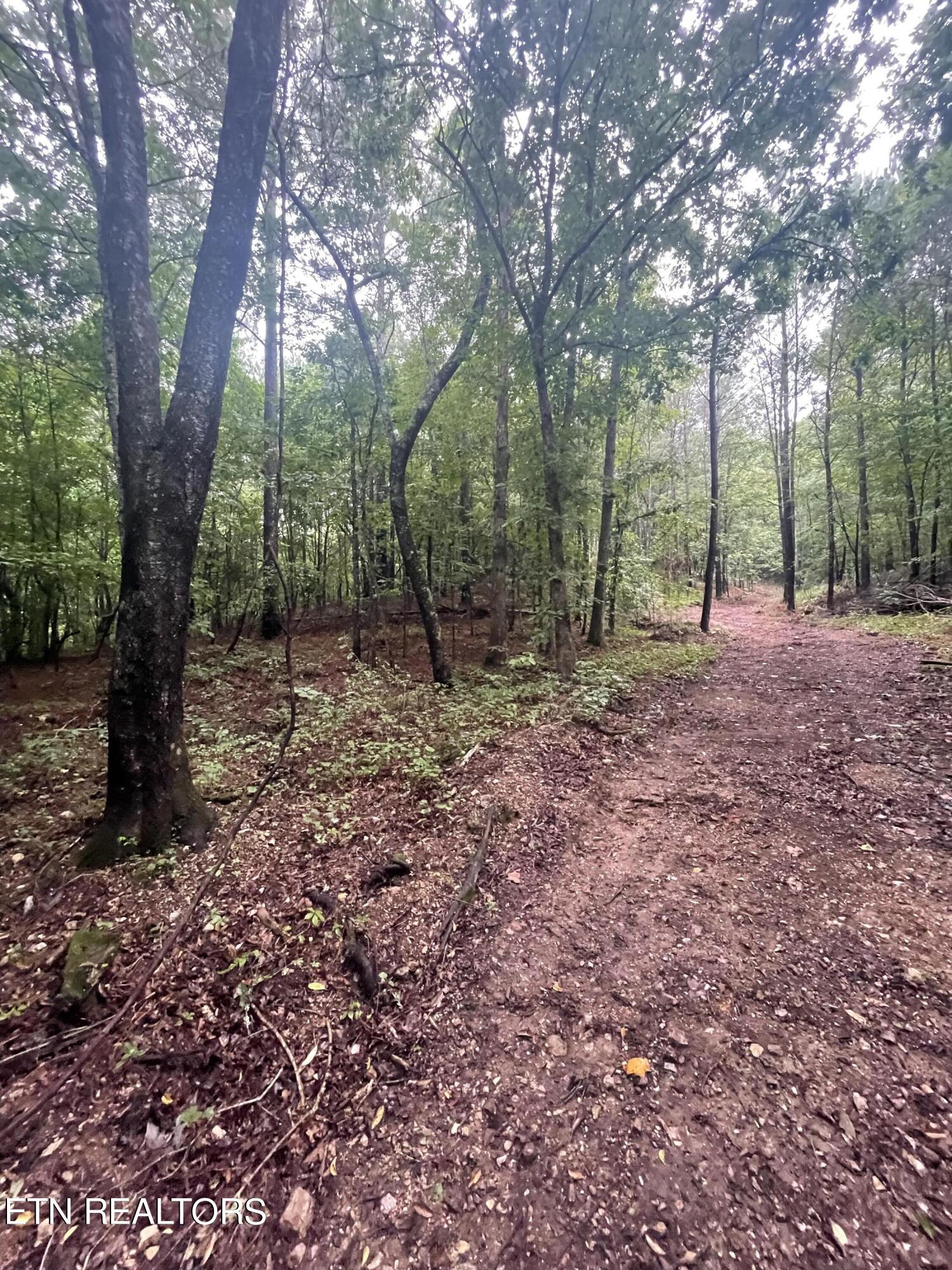 400 Moore Cemetery Rd