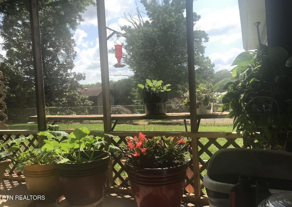 Screened porch with potted plants and red flowers overlooking a sunny backyard.