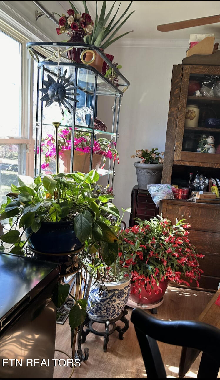Sunlit room filled with potted plants and flowers beside tall windows and wooden cabinets.