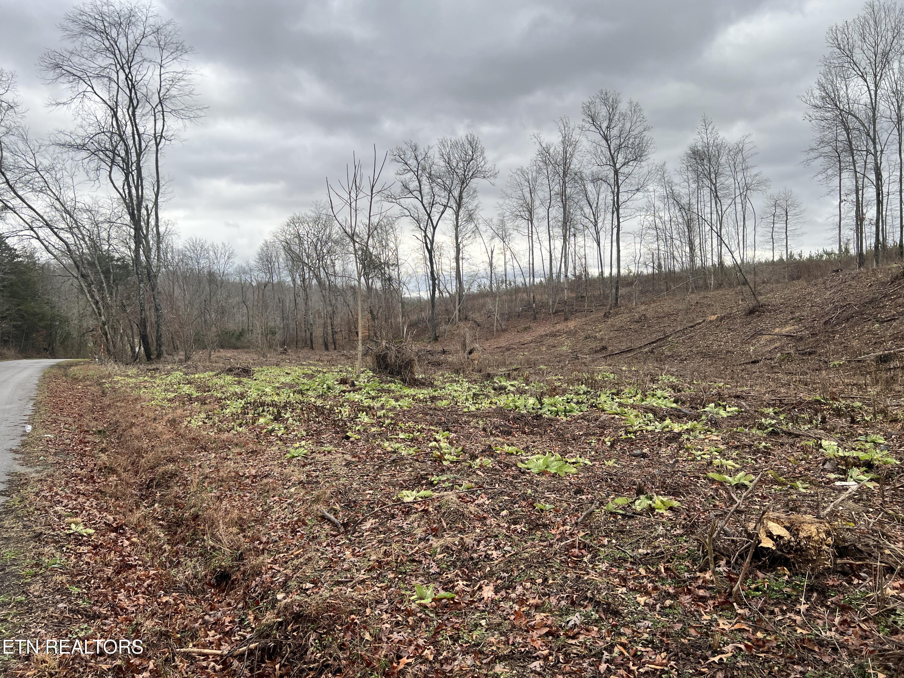 lot 2 Arwine Road