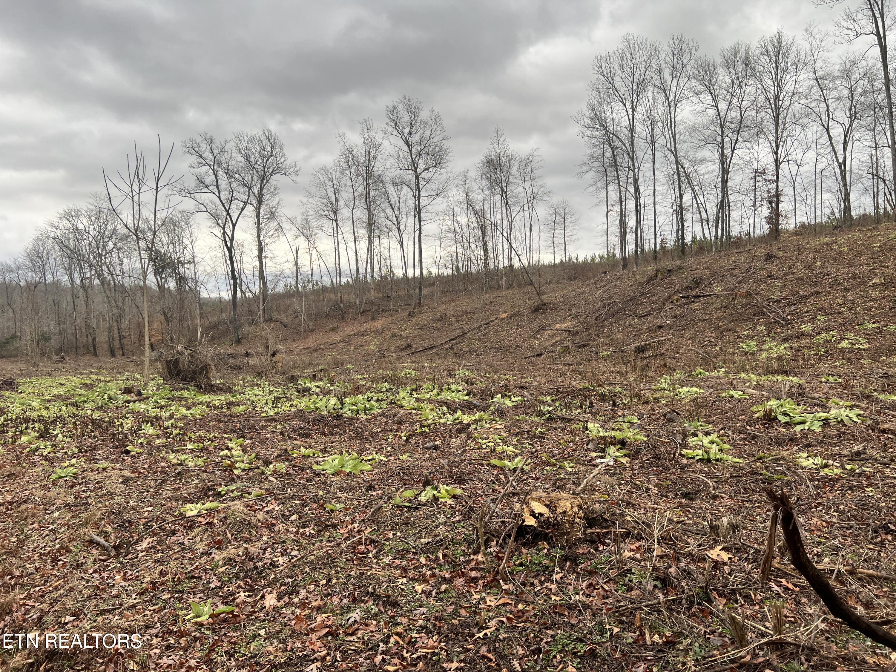 lot 2 Arwine Road