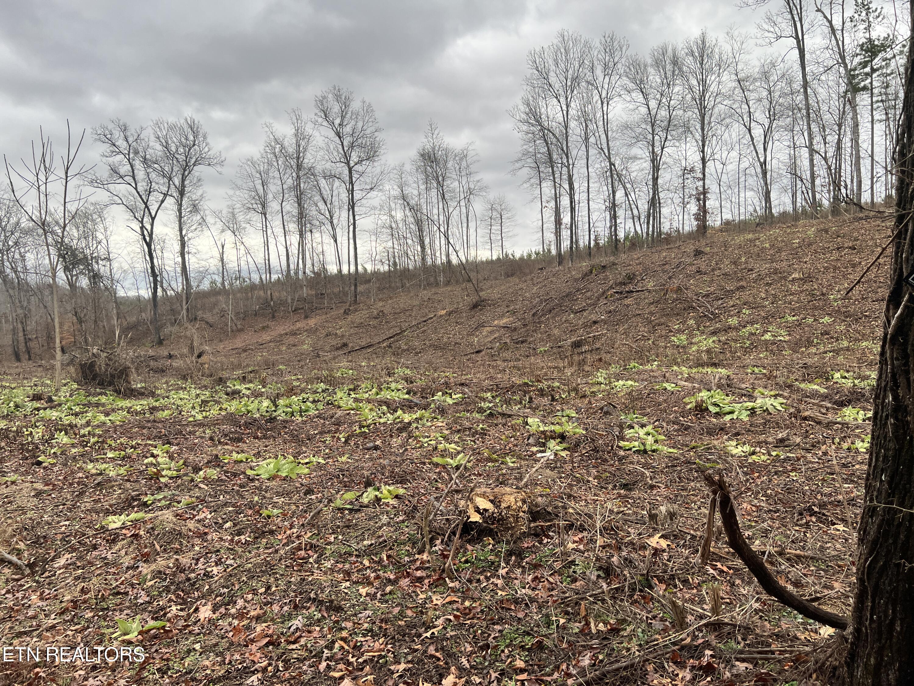 lot 2 Arwine Road