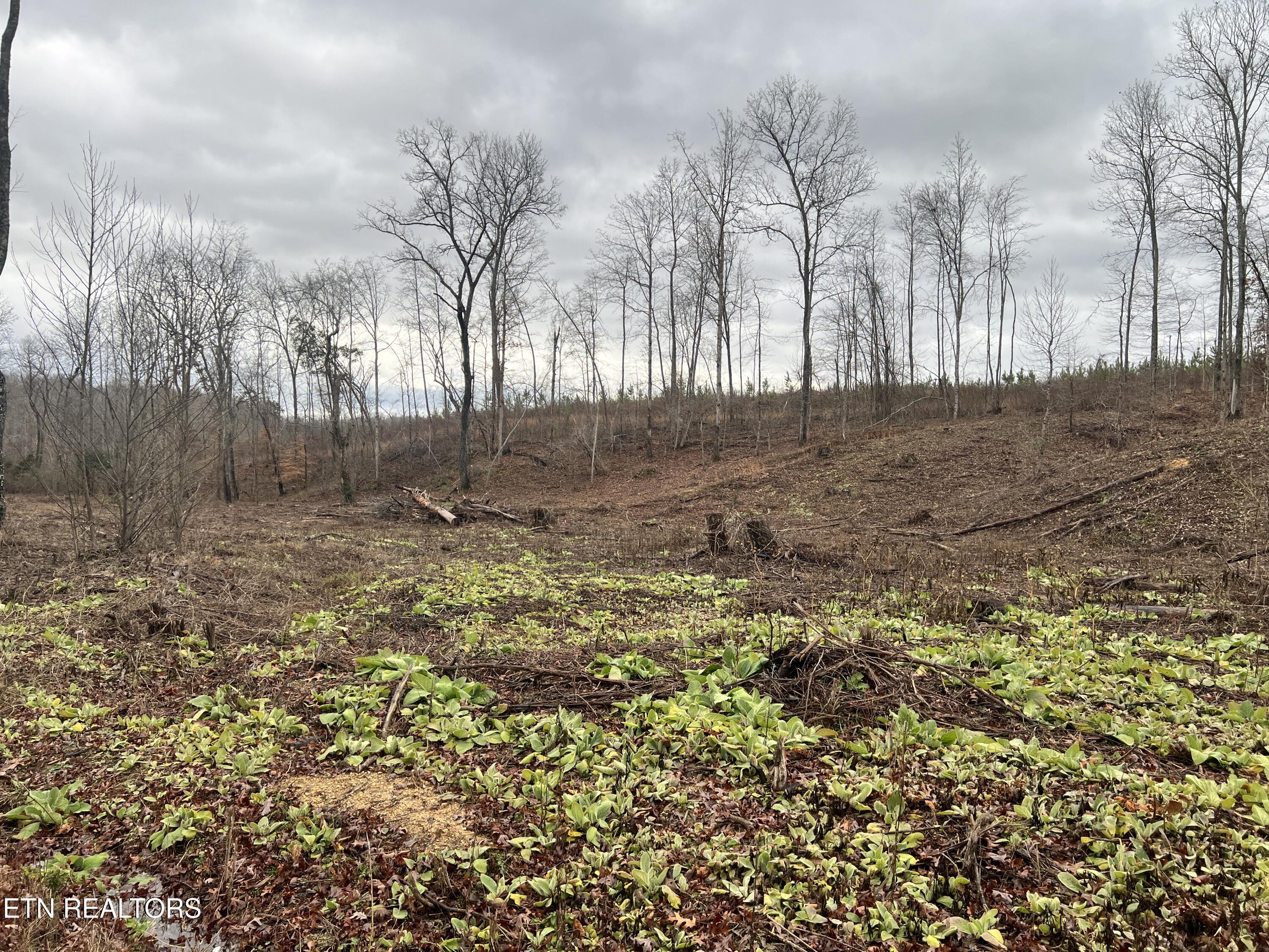lot 2 Arwine Road