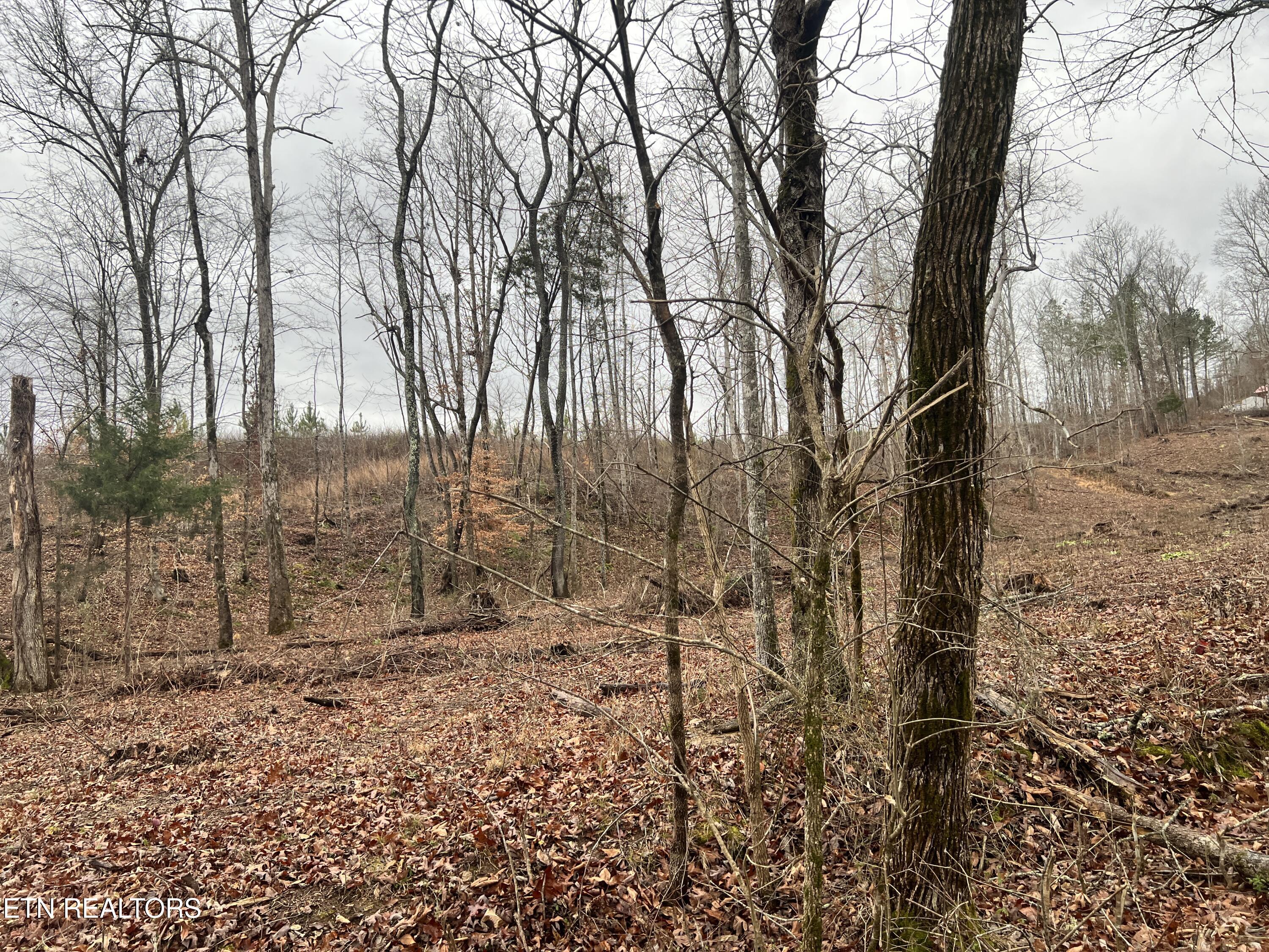 lot 2 Arwine Road