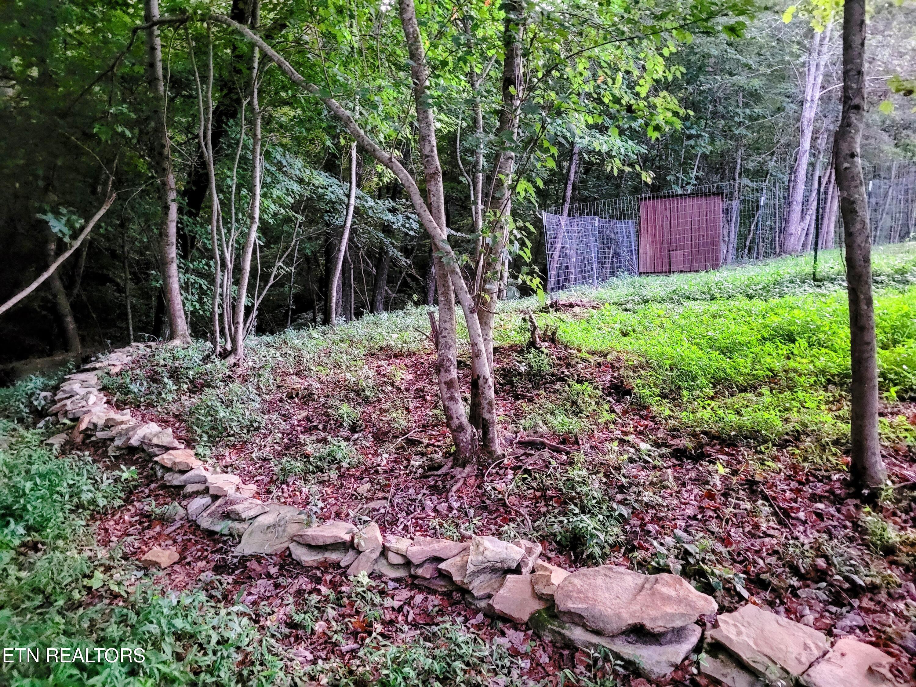 Wooded property slope with a curving stone border and wire fencing.