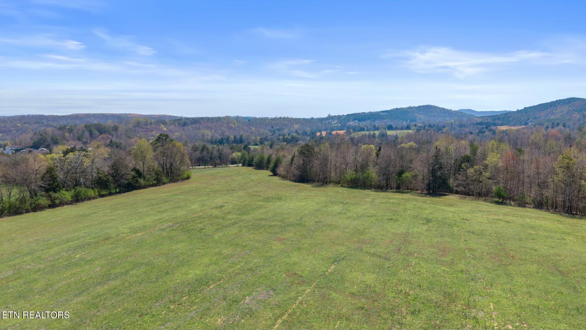 SW Old Harrison Pike, McDonald