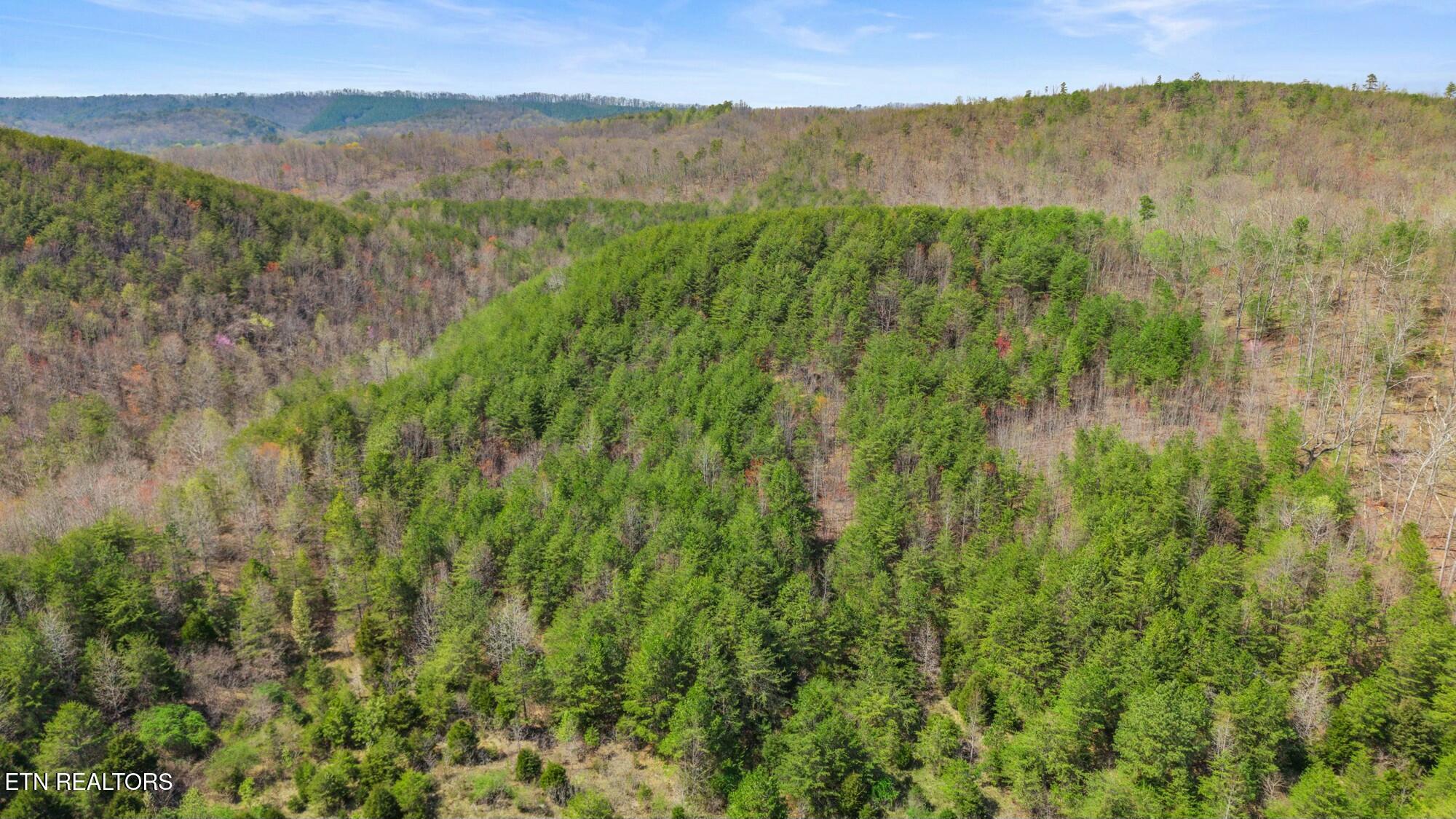 SW Old Harrison Pike, McDonald