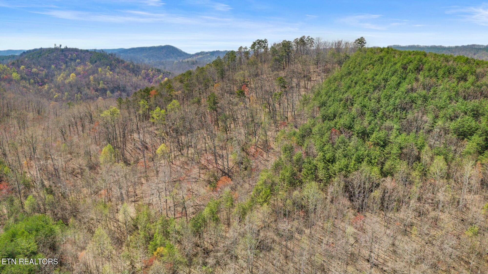 SW Old Harrison Pike, McDonald