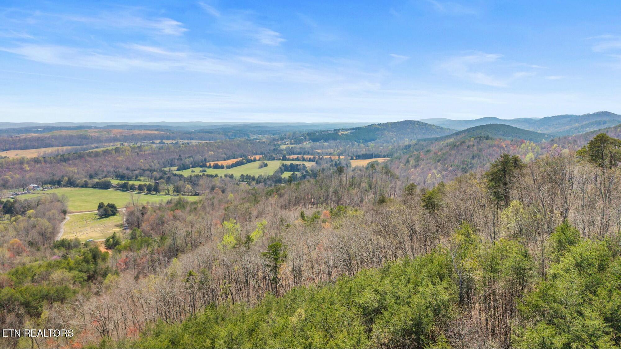 SW Old Harrison Pike, McDonald