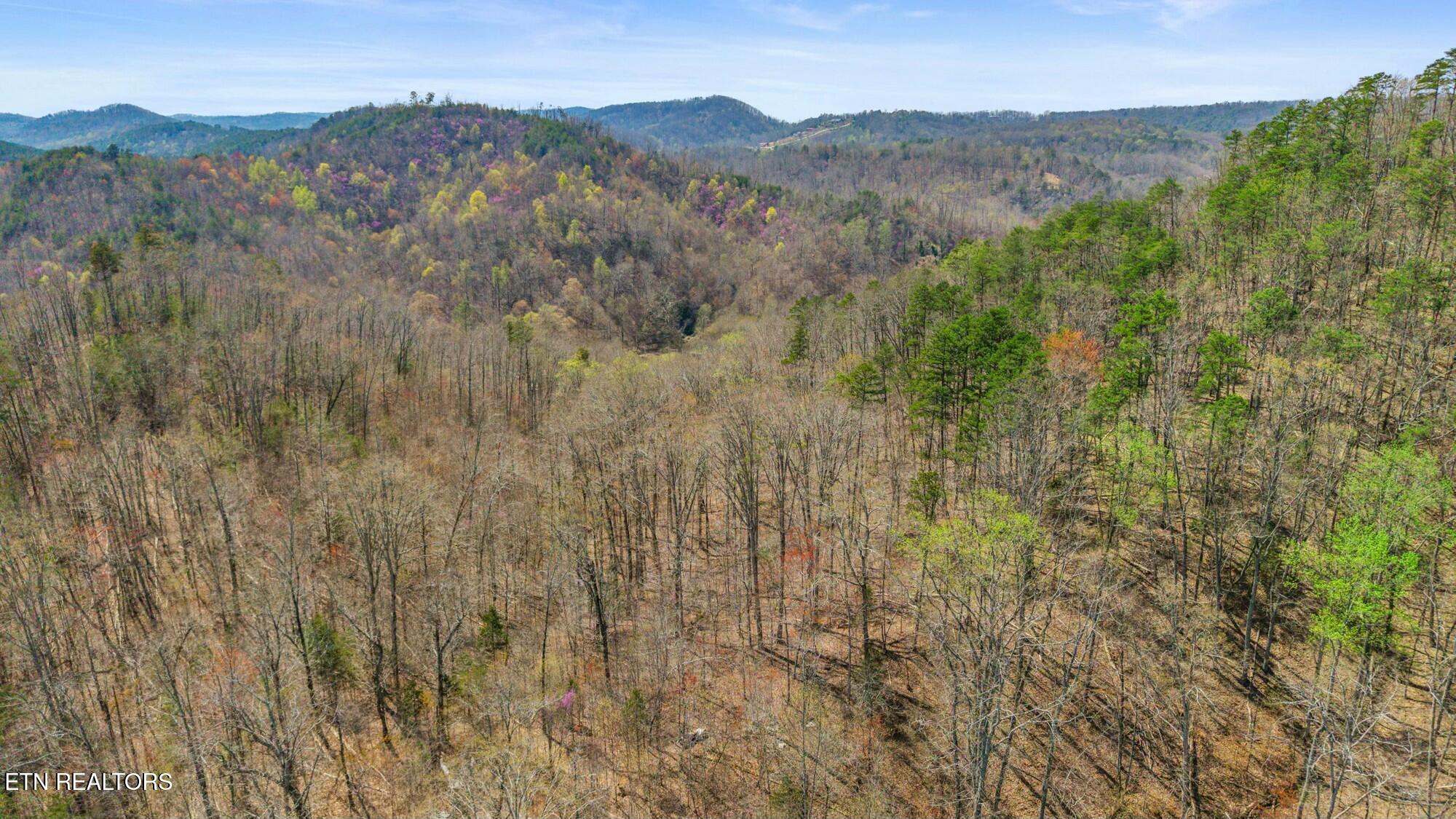 SW Old Harrison Pike, McDonald