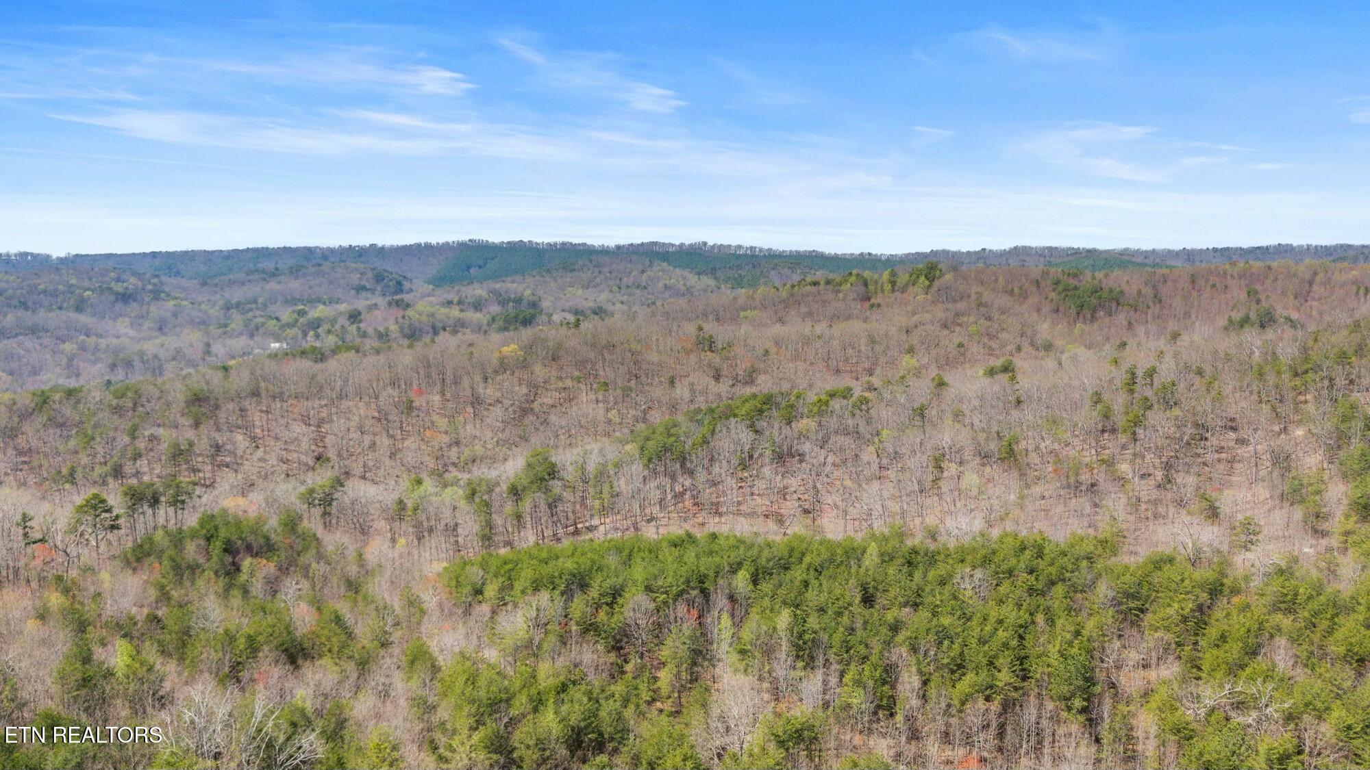 SW Old Harrison Pike, McDonald