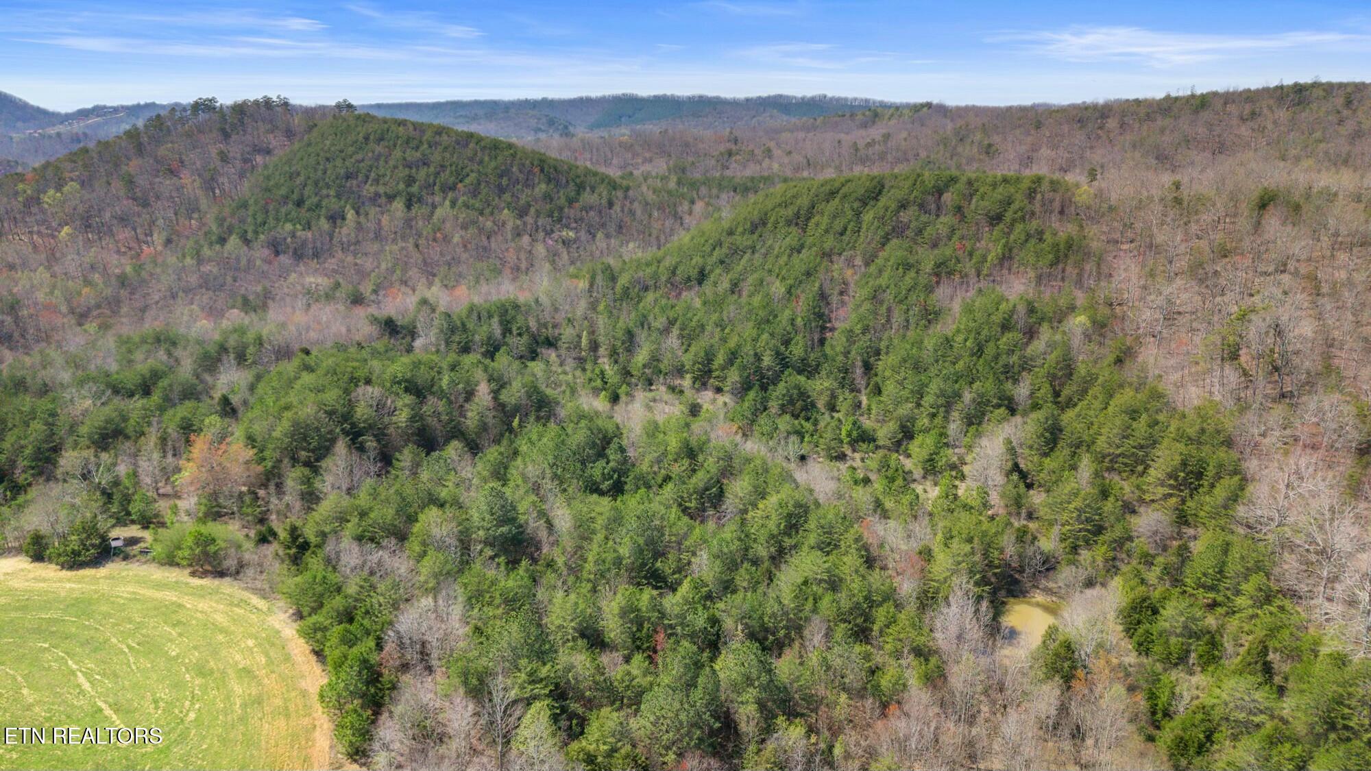 SW Old Harrison Pike, McDonald