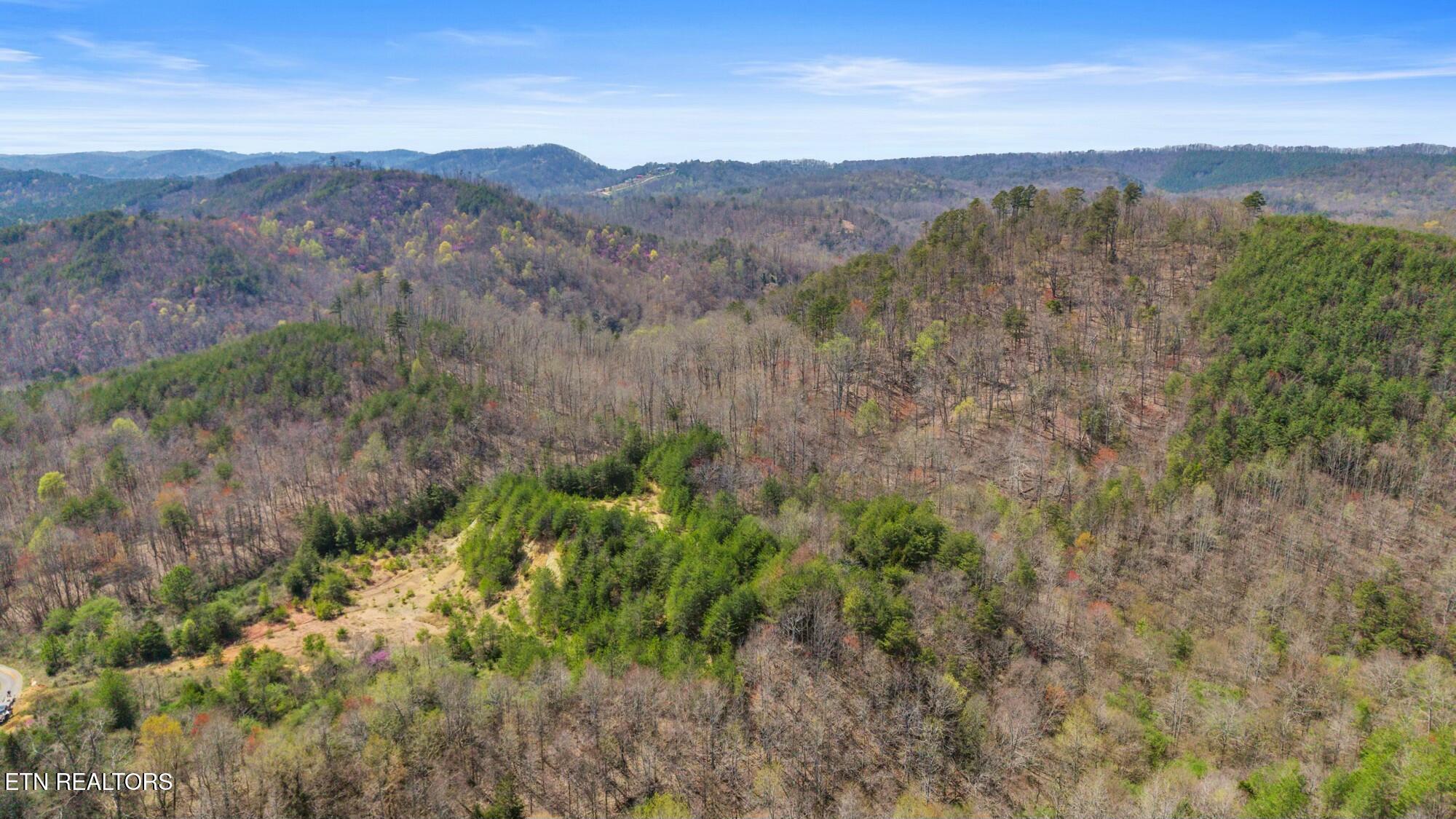 SW Old Harrison Pike, McDonald