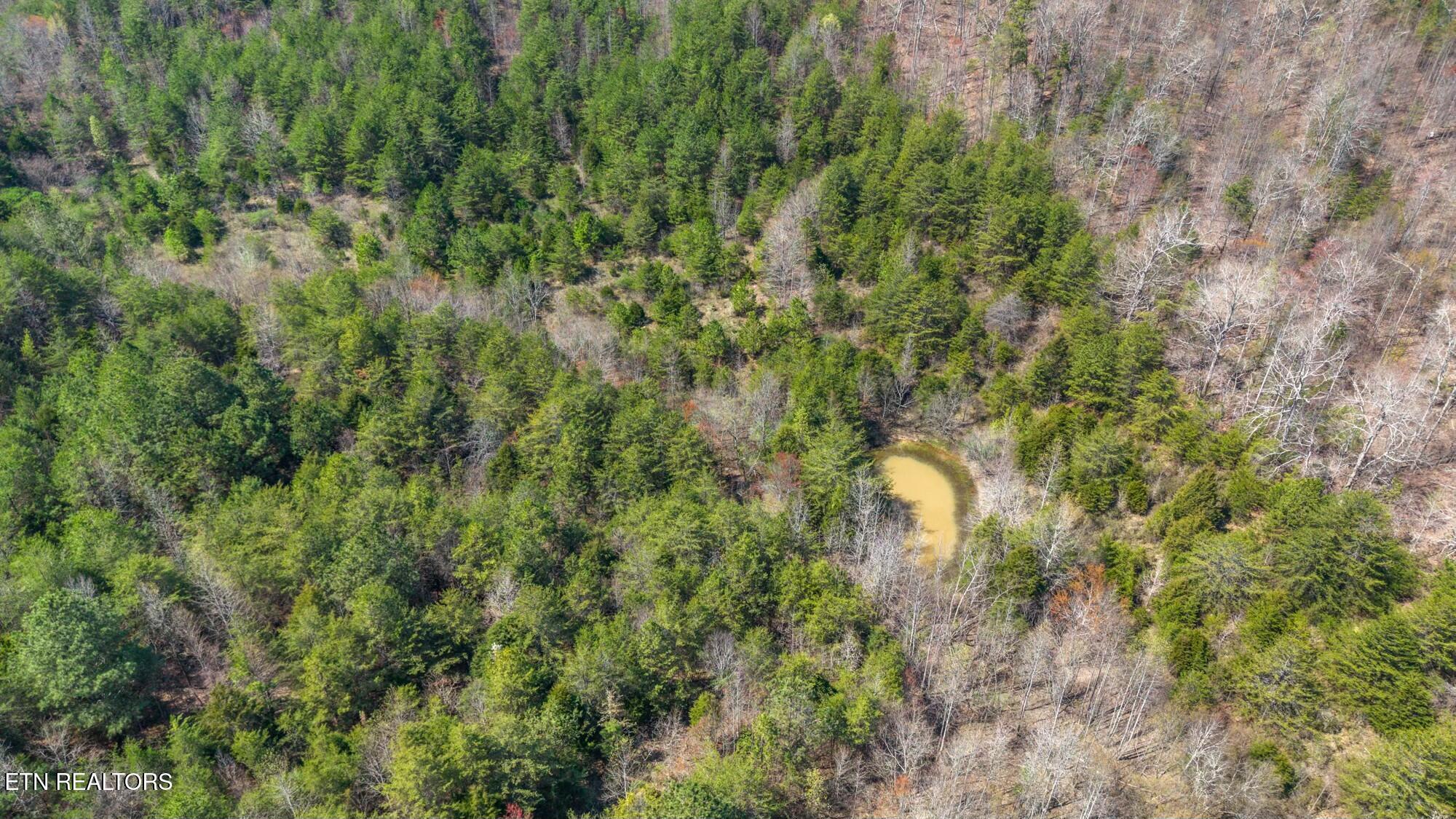 SW Old Harrison Pike, McDonald