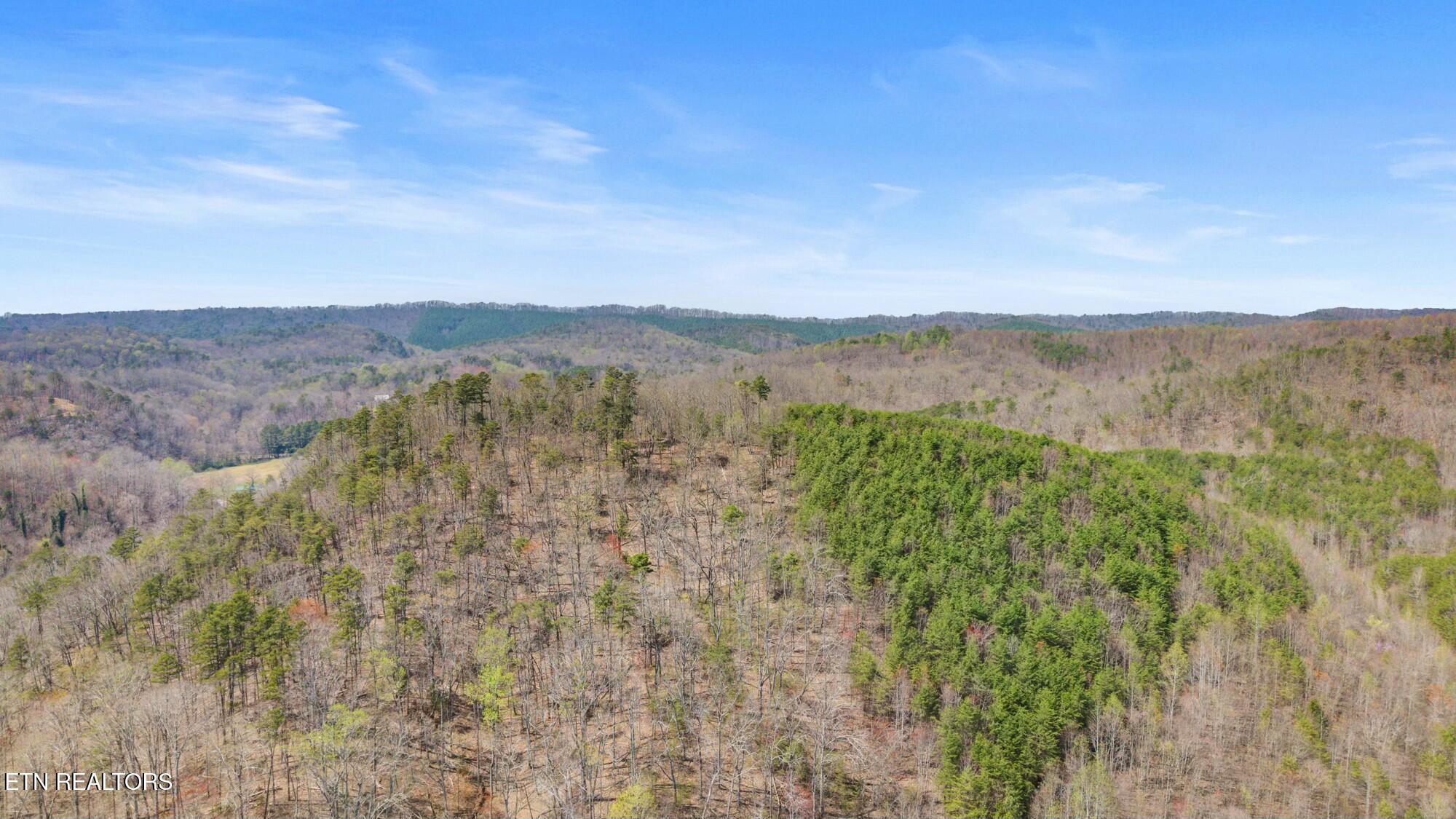 SW Old Harrison Pike, McDonald