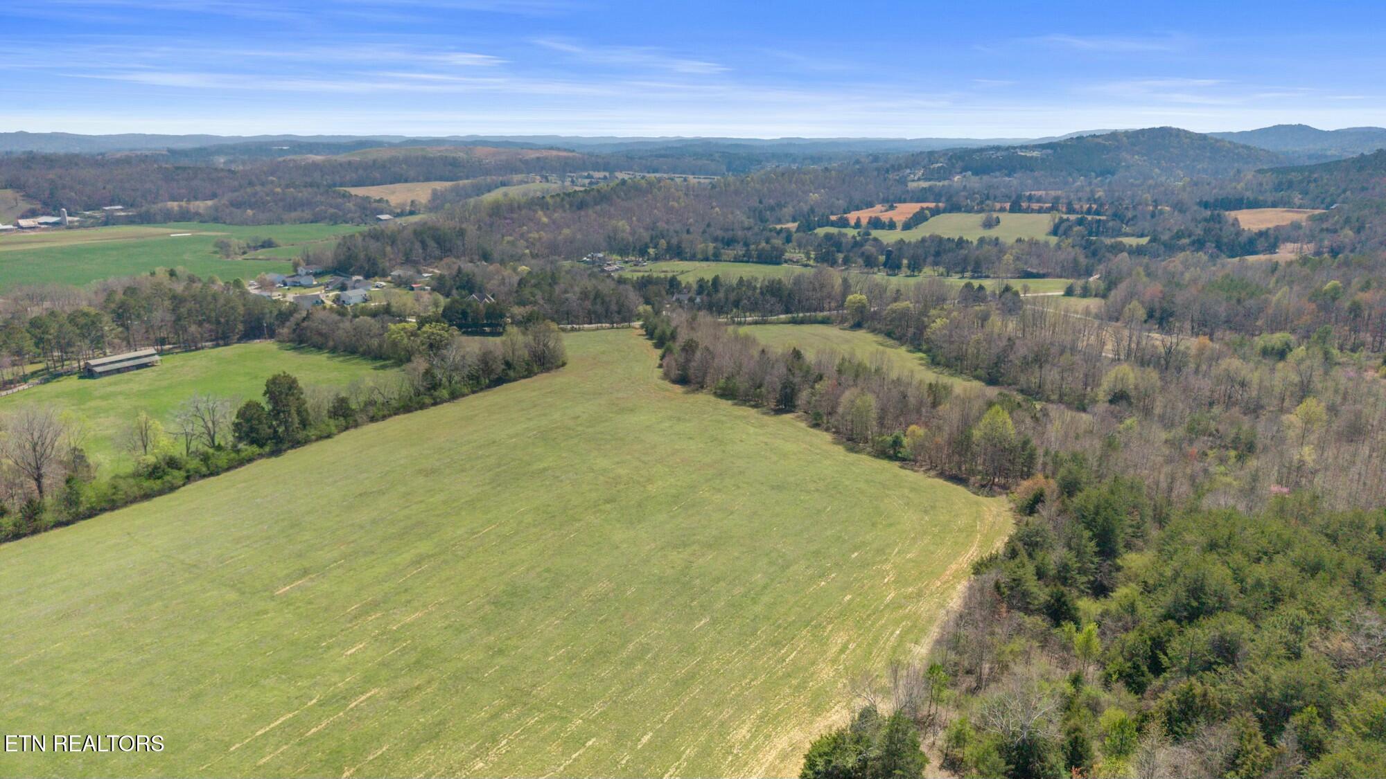 SW Old Harrison Pike, McDonald