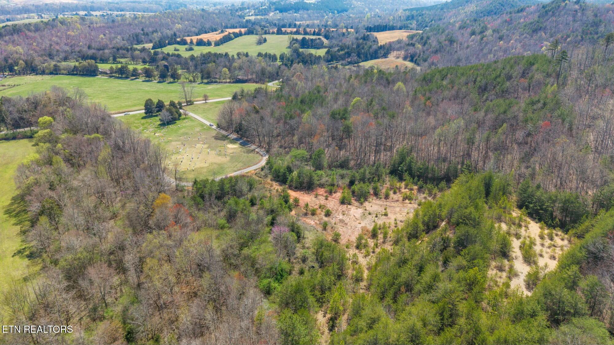 SW Old Harrison Pike, McDonald