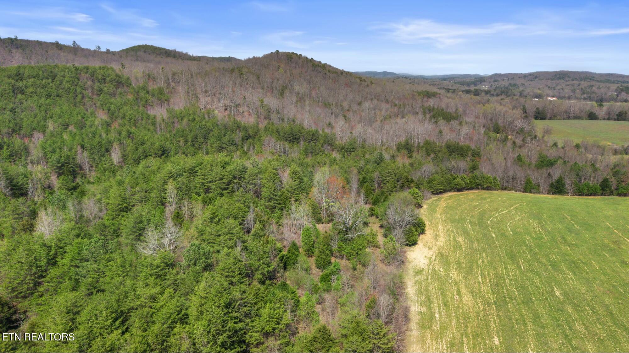 SW Old Harrison Pike, McDonald