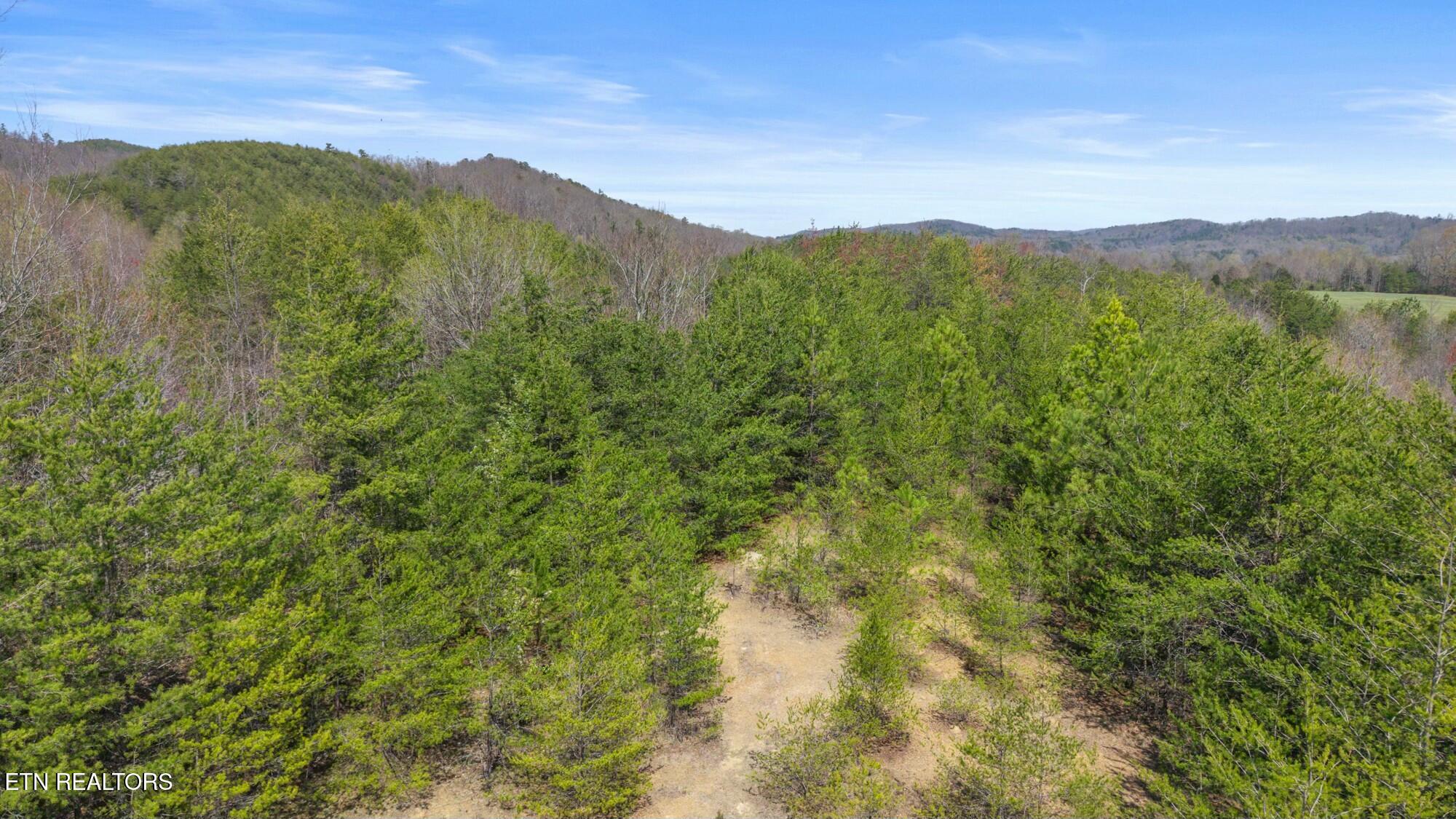 SW Old Harrison Pike, McDonald