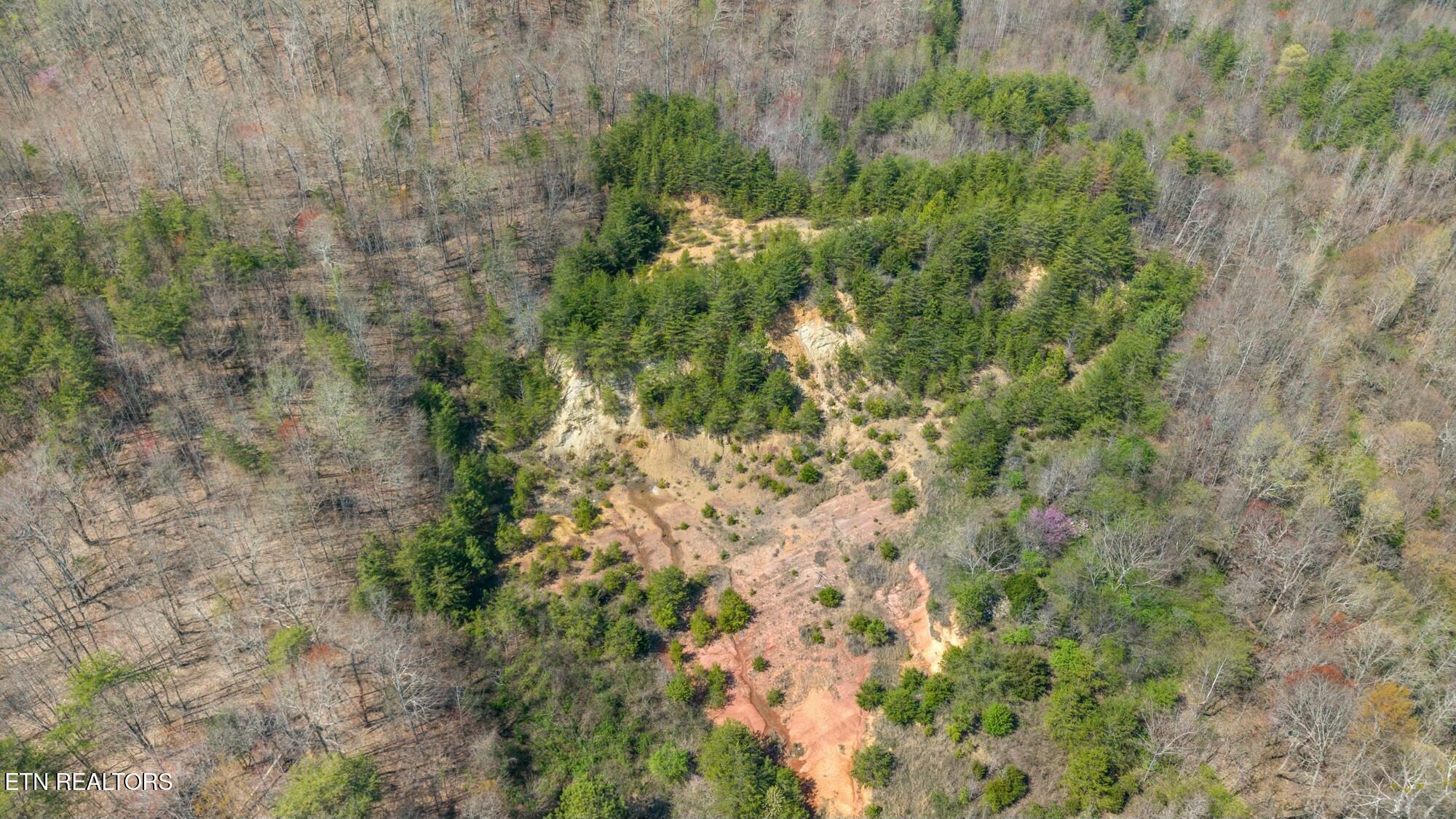 SW Old Harrison Pike, McDonald