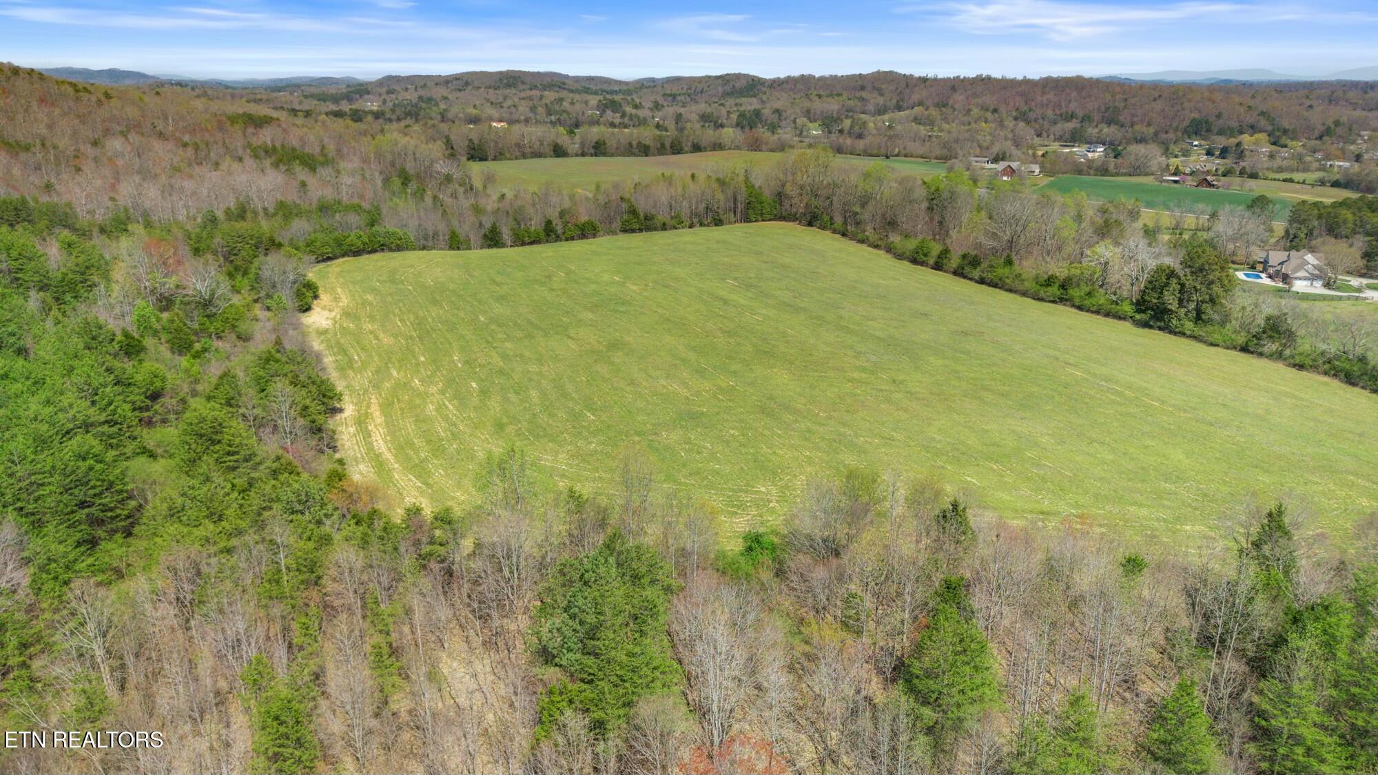 SW Old Harrison Pike, McDonald