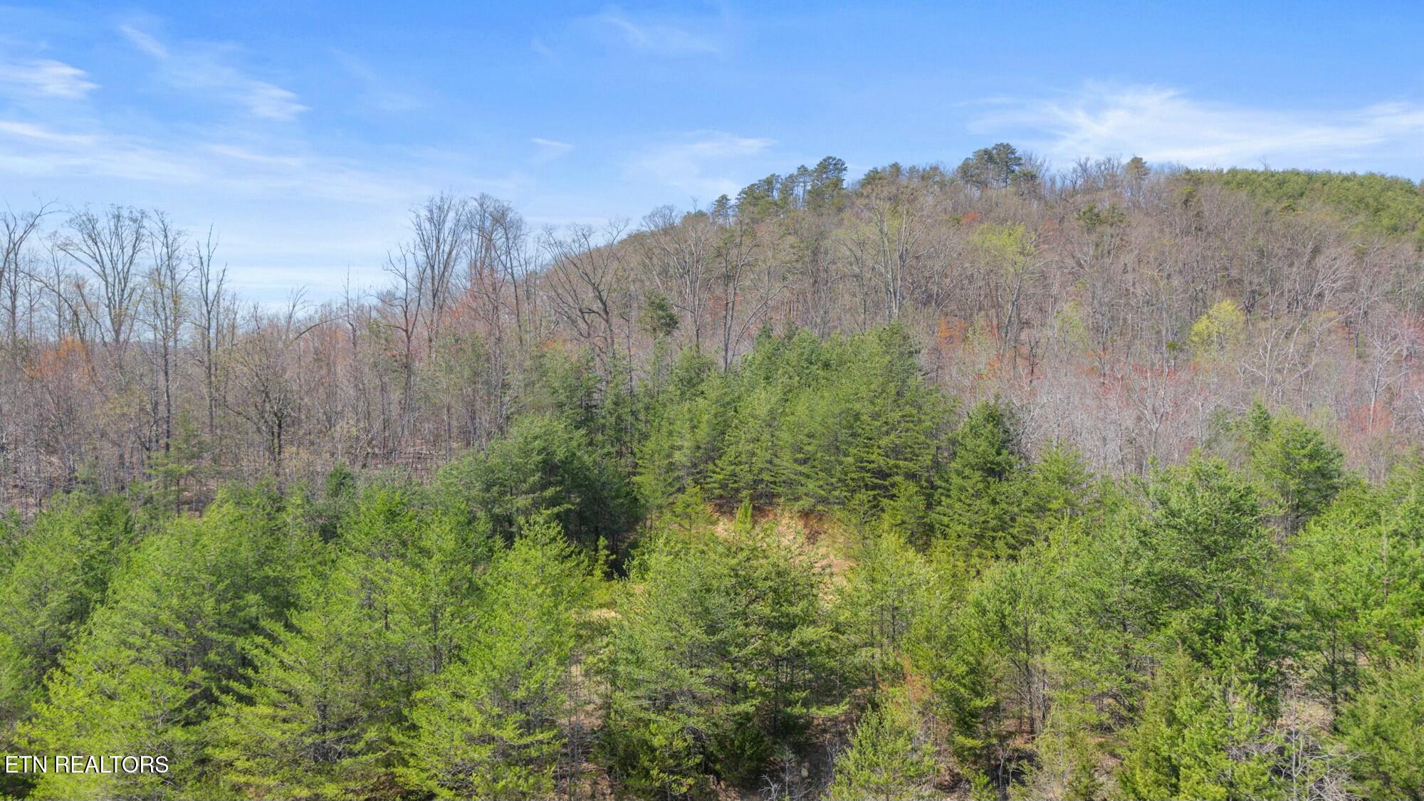 SW Old Harrison Pike, McDonald