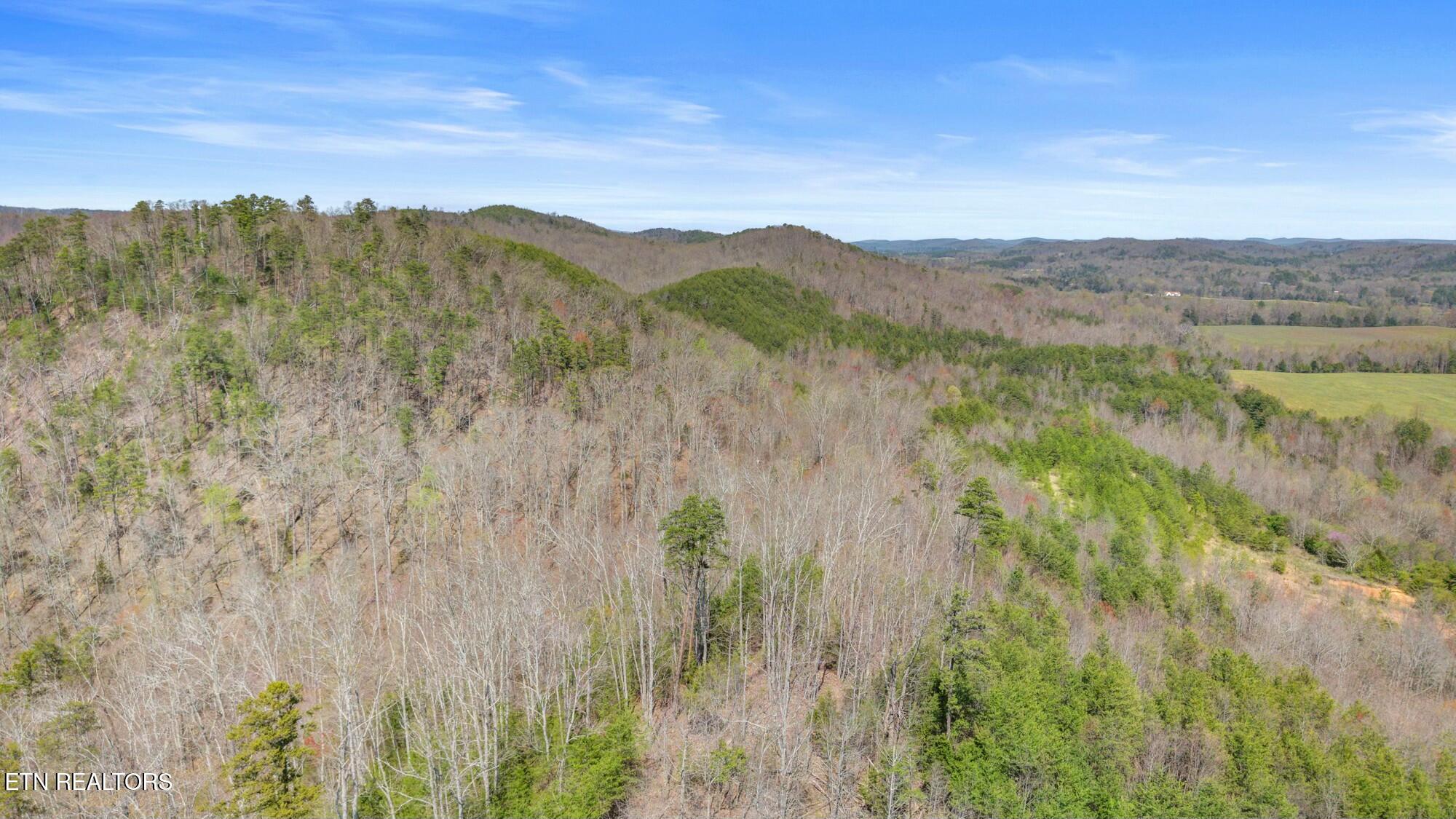 SW Old Harrison Pike, McDonald