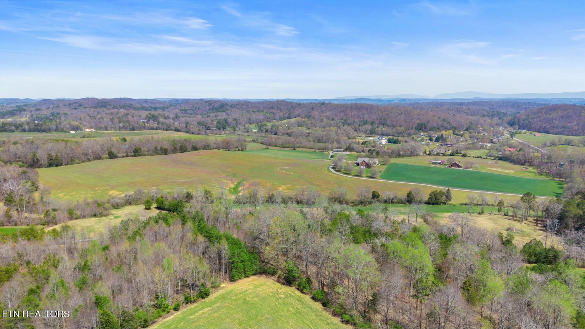 SW Old Harrison Pike, McDonald