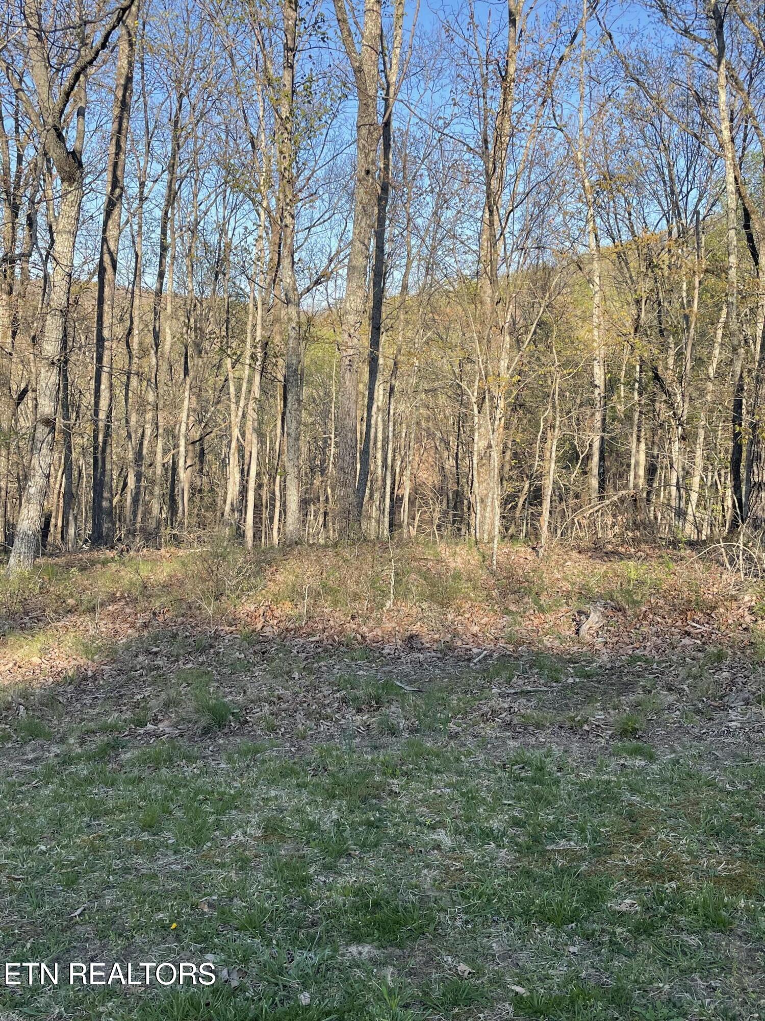 147 Havenridge Circle