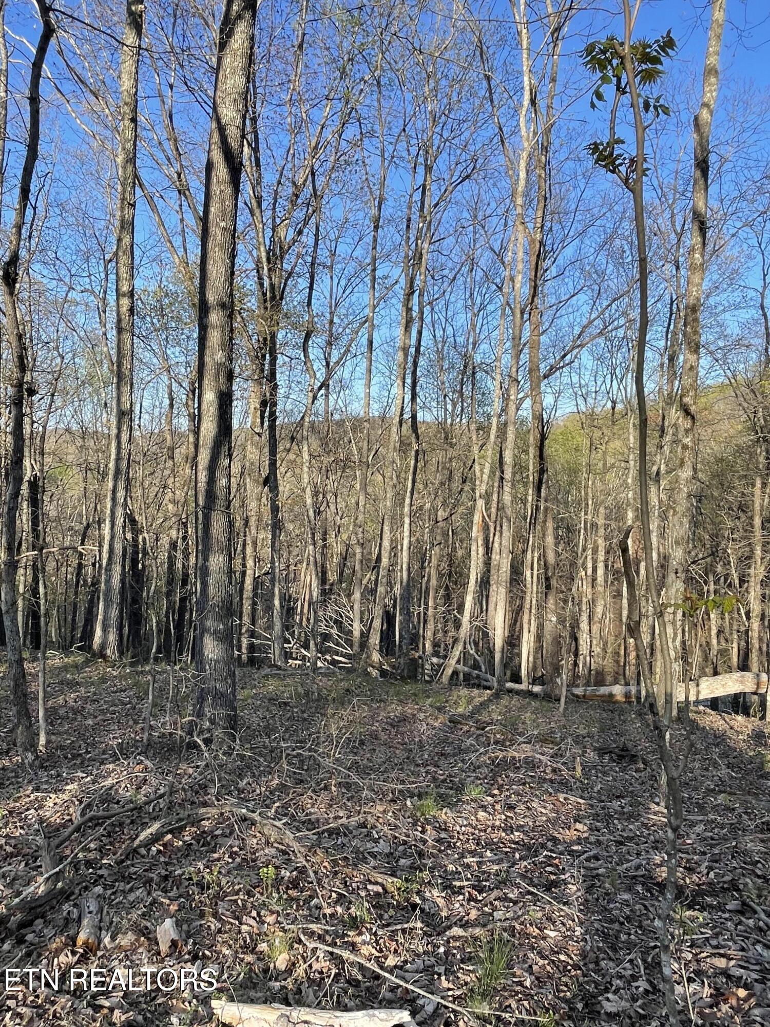 147 Havenridge Circle