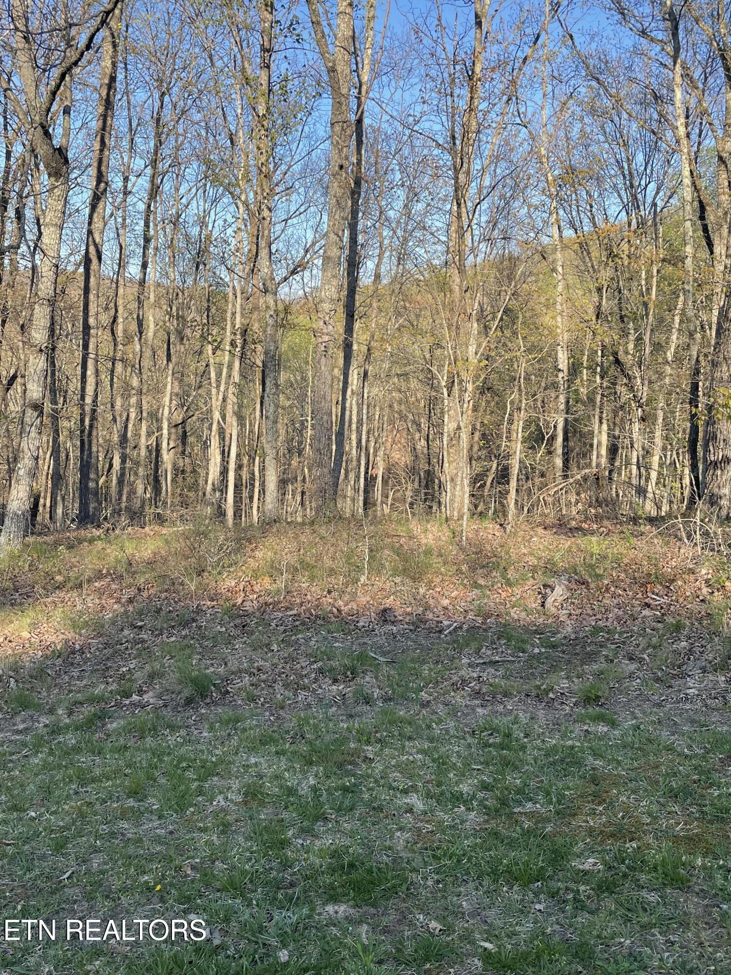 147 Havenridge Circle