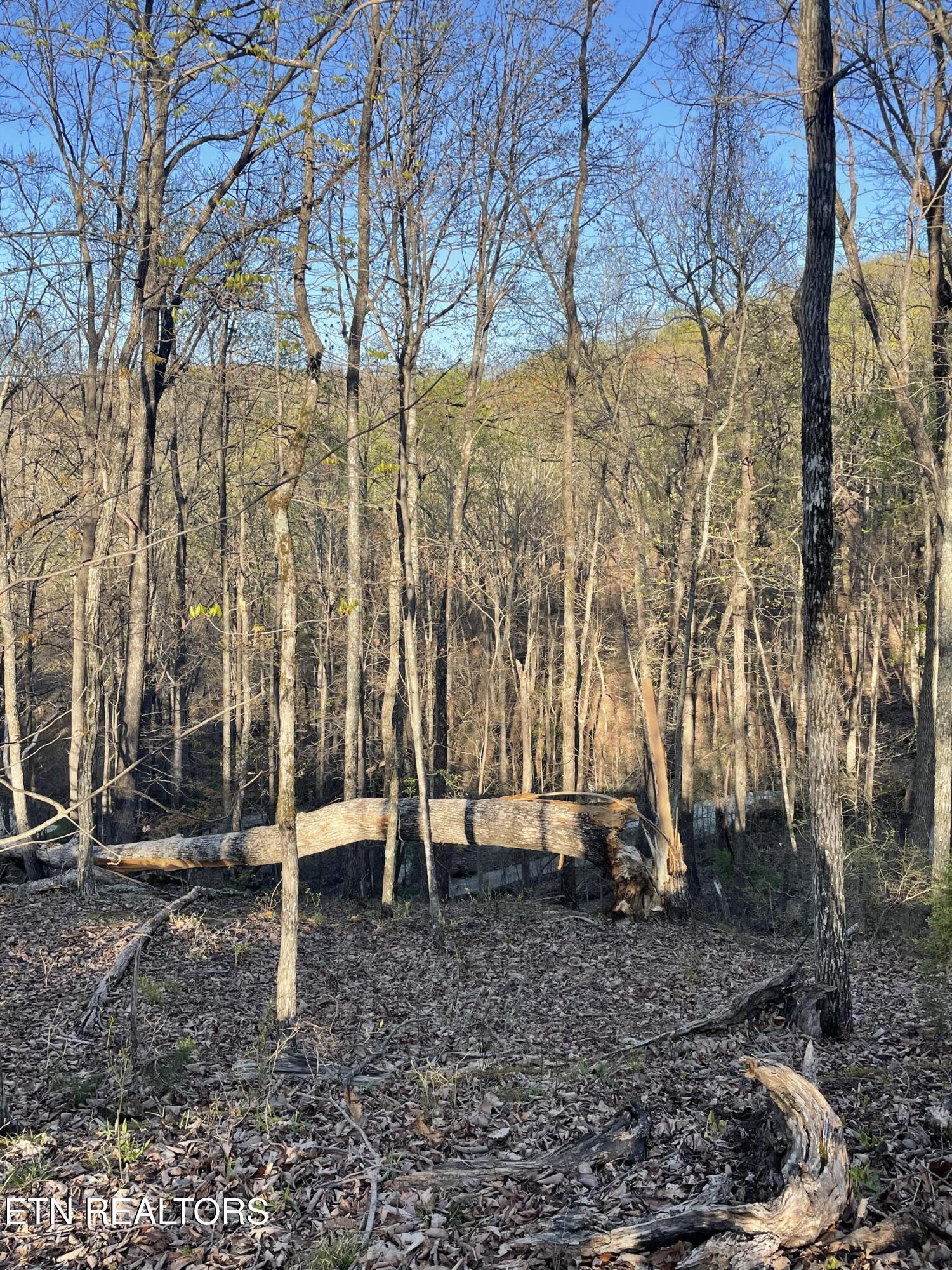 147 Havenridge Circle