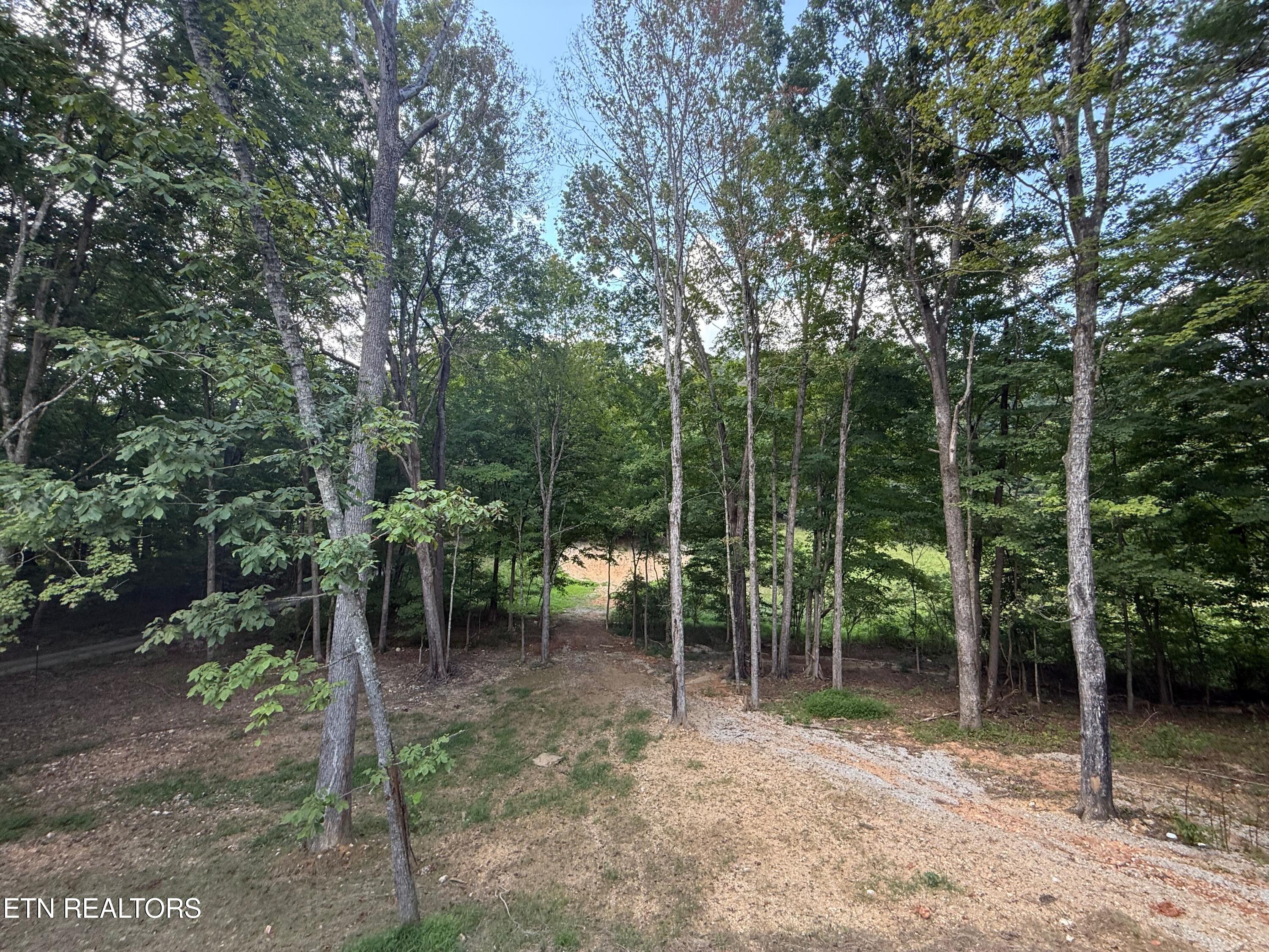 224 Pattie Gap Rd