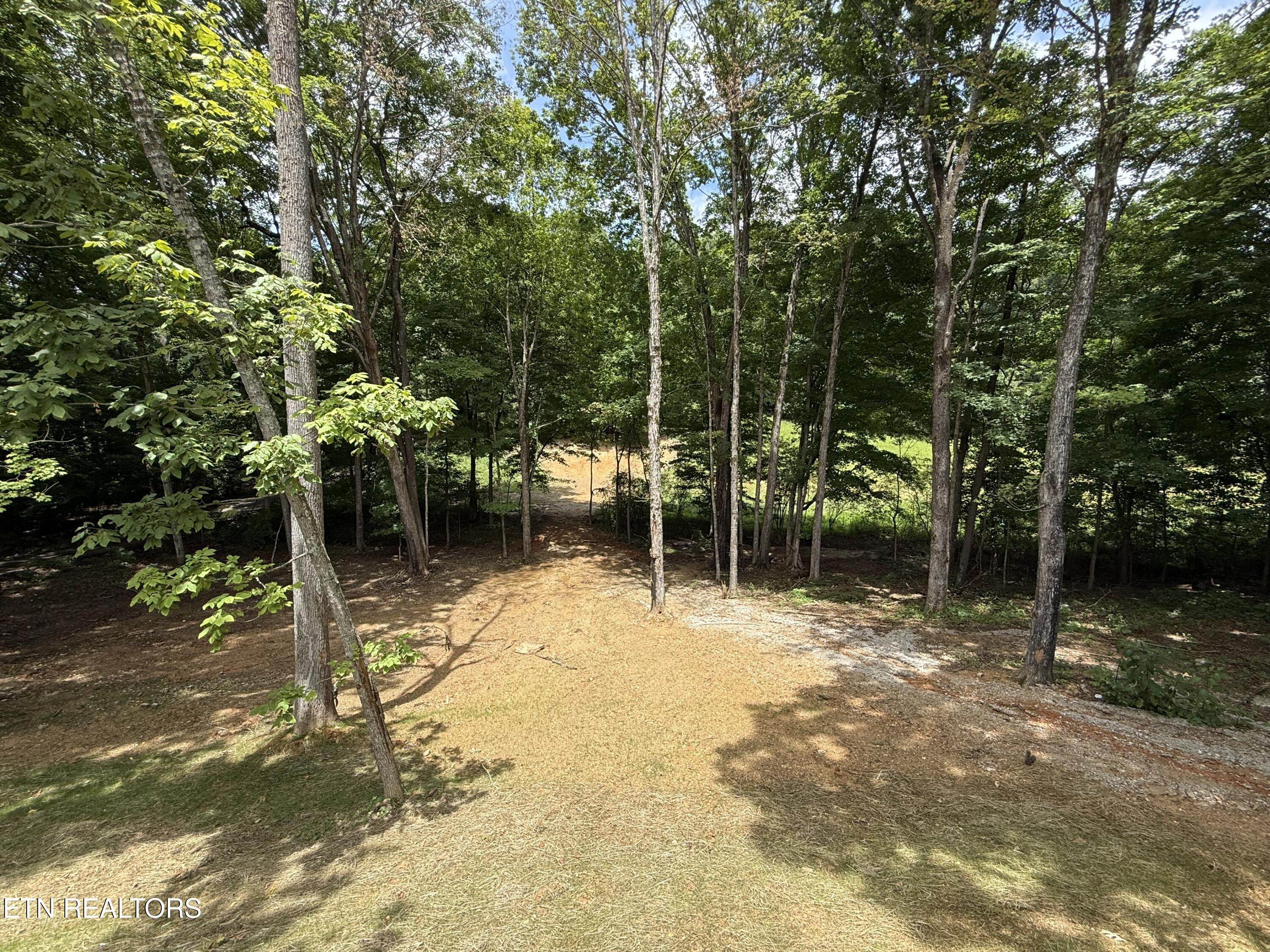 224 Pattie Gap Rd