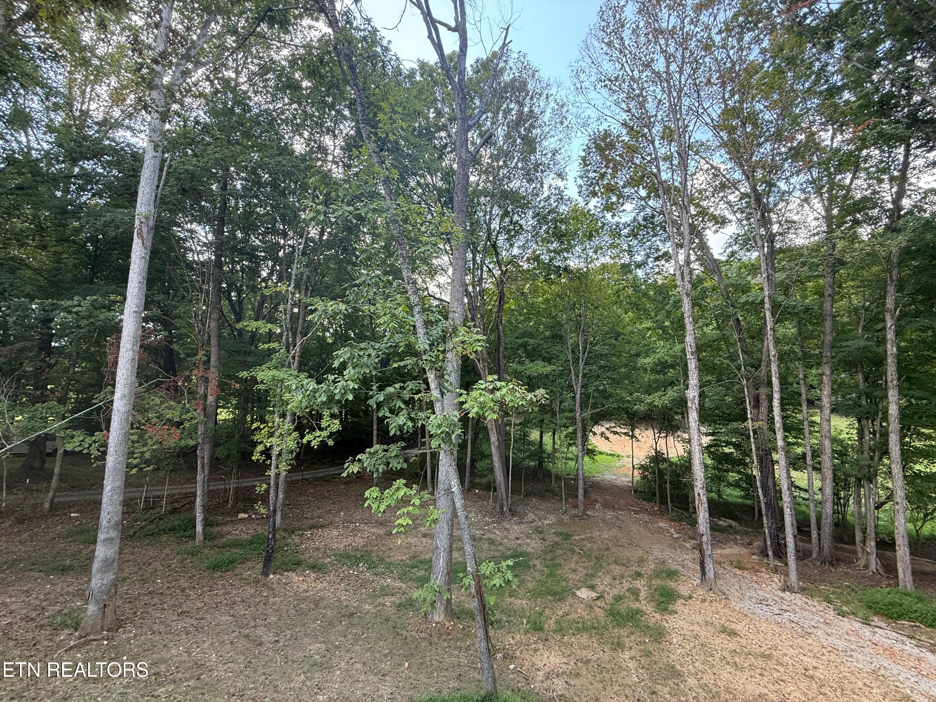 224 Pattie Gap Rd