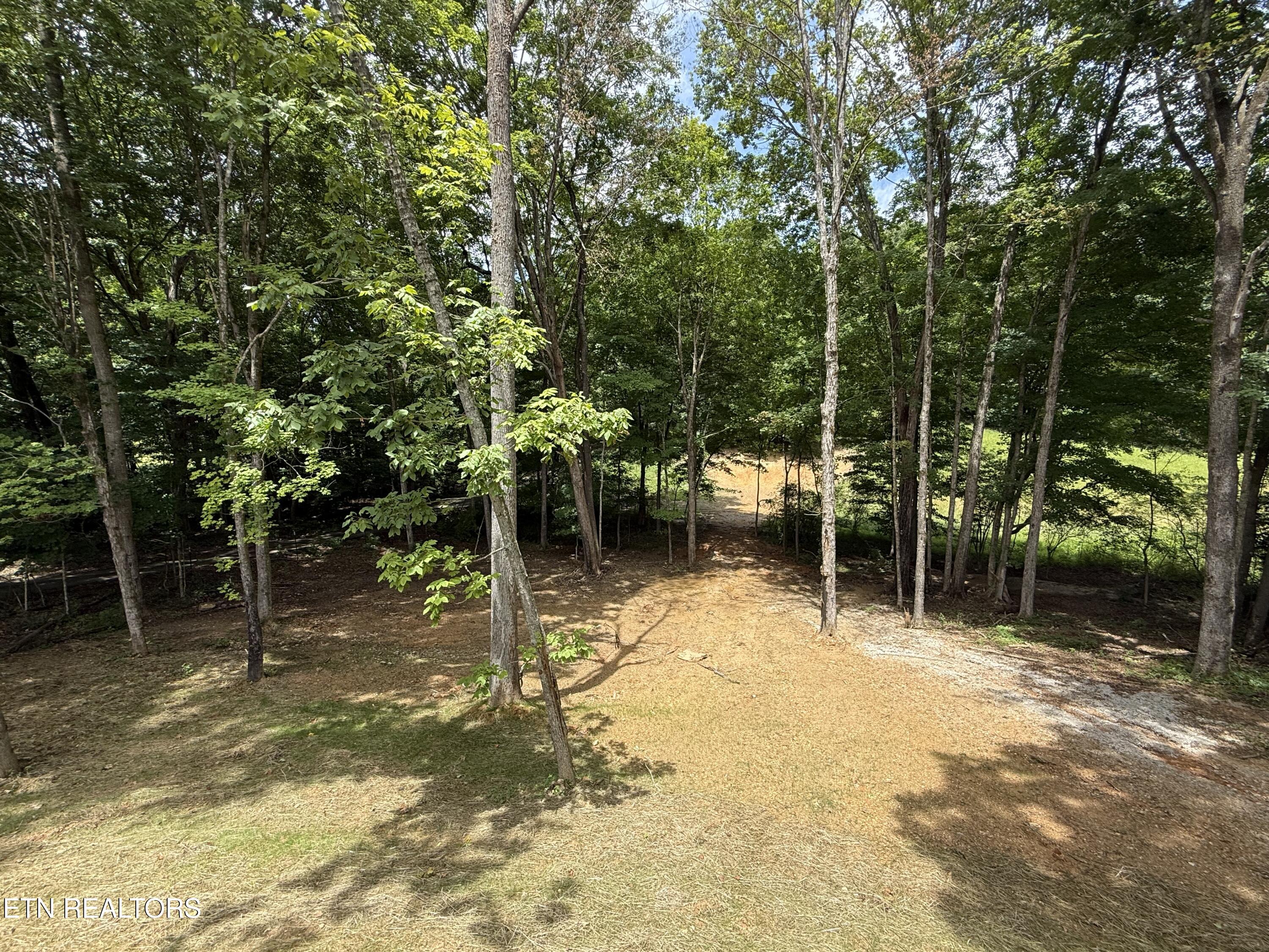 224 Pattie Gap Rd