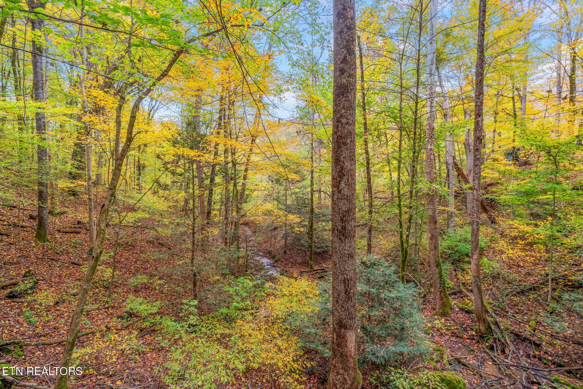205 Tobby Hollow Lane