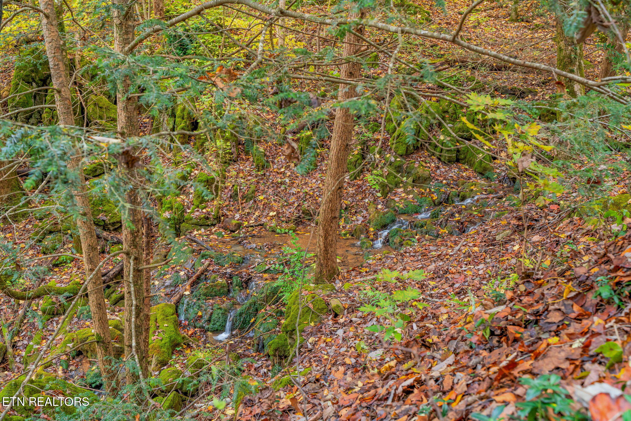 205 Tobby Hollow Lane