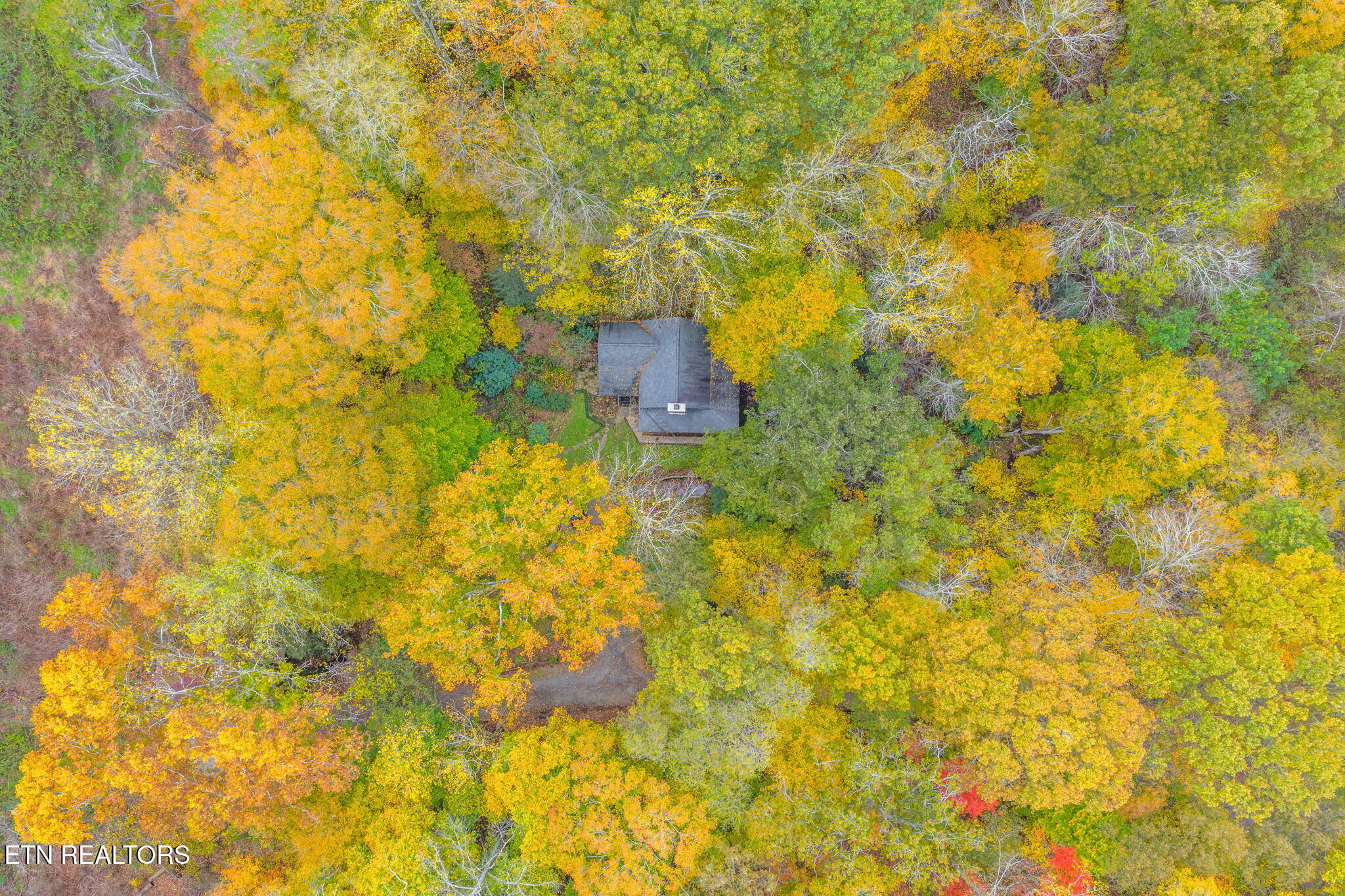 205 Tobby Hollow Lane