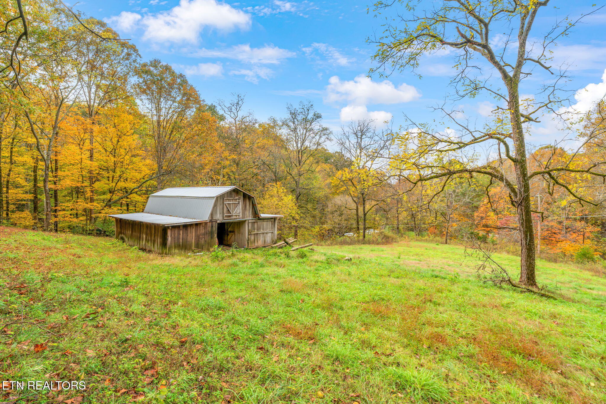 205 Tobby Hollow Lane