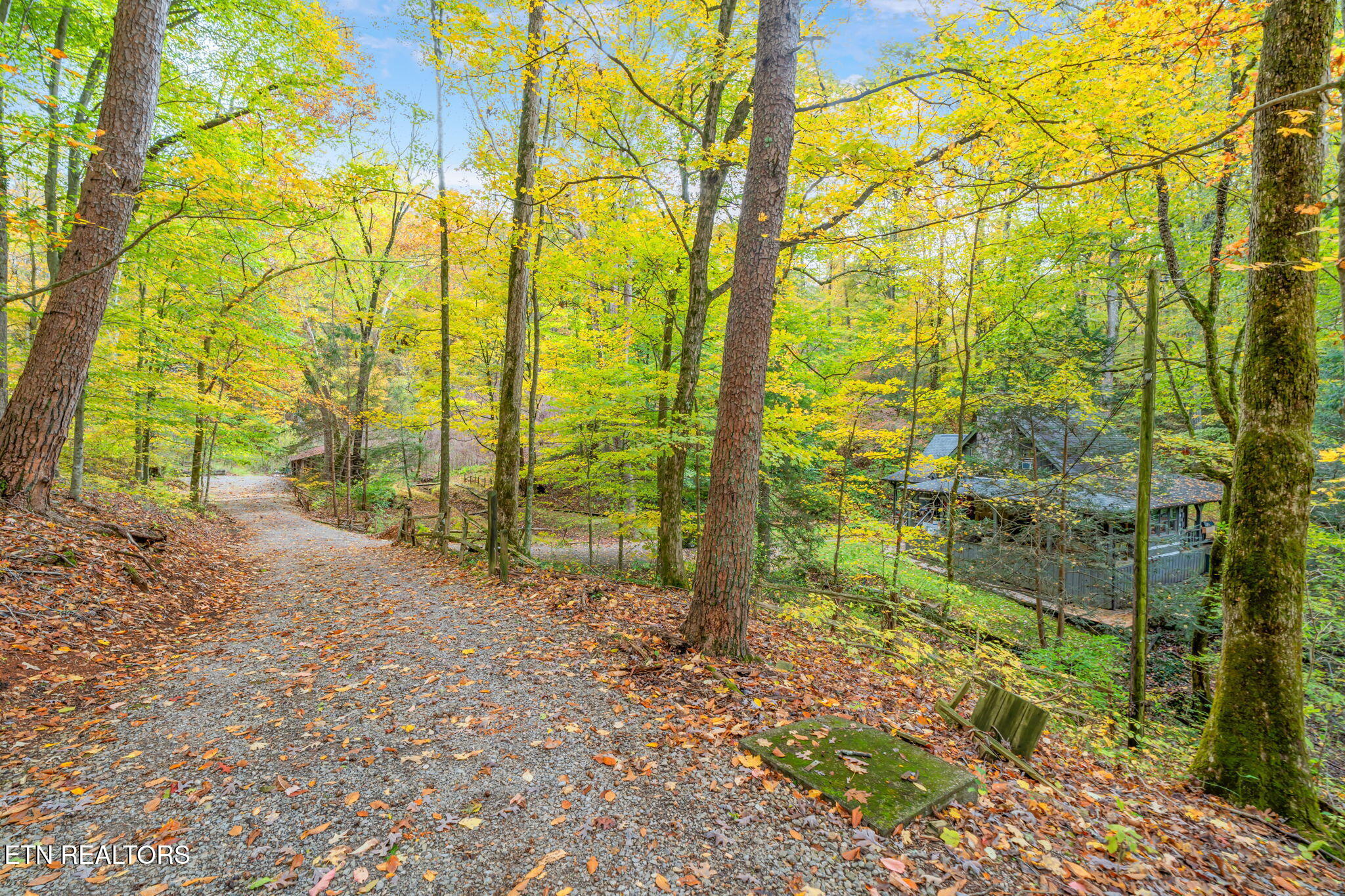205 Tobby Hollow Lane