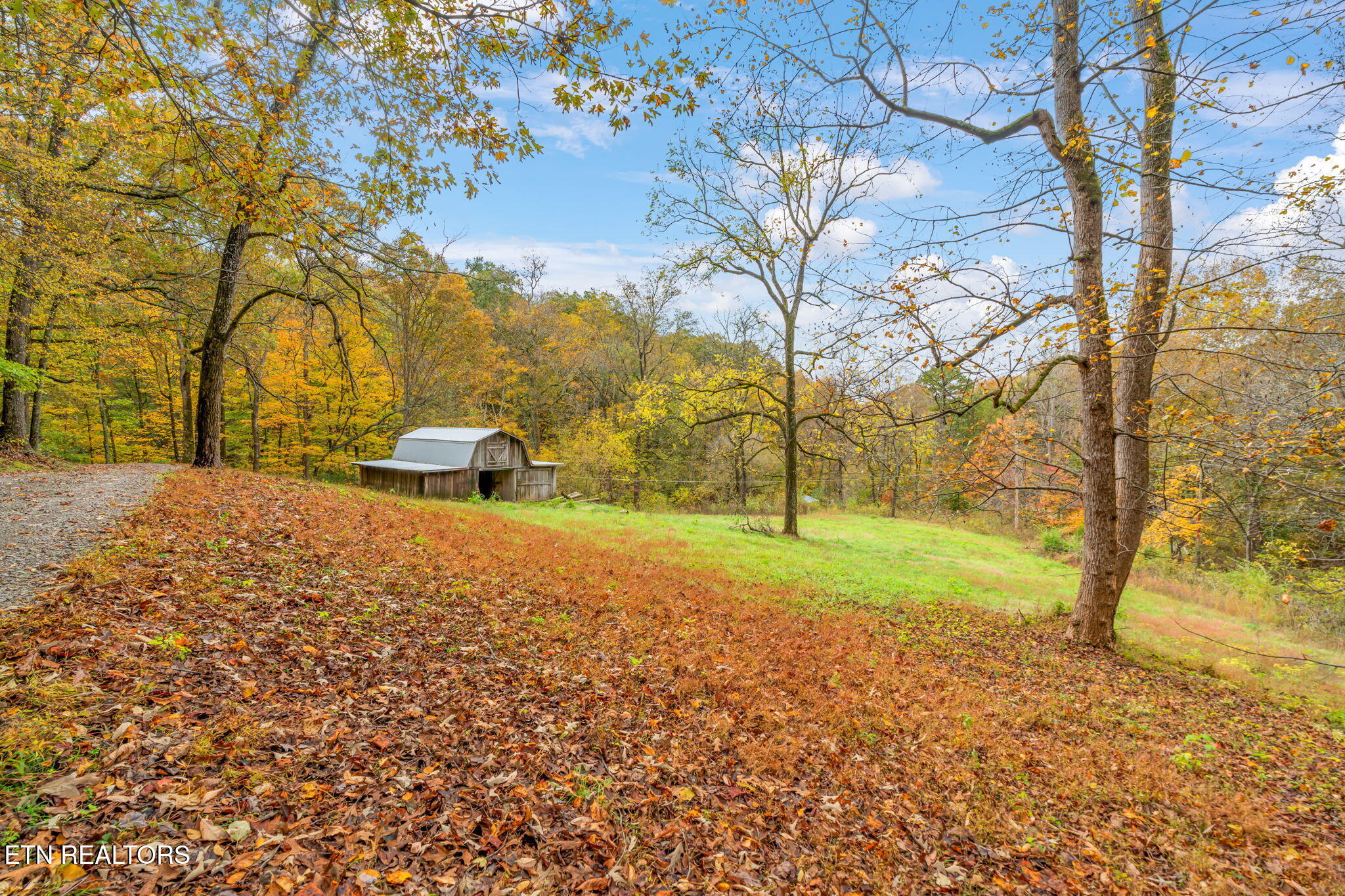 205 Tobby Hollow Lane