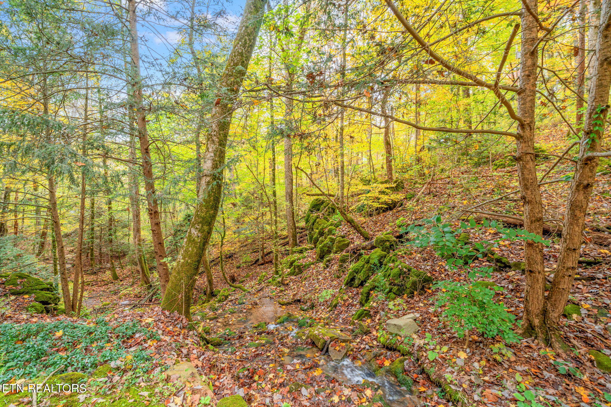 205 Tobby Hollow Lane