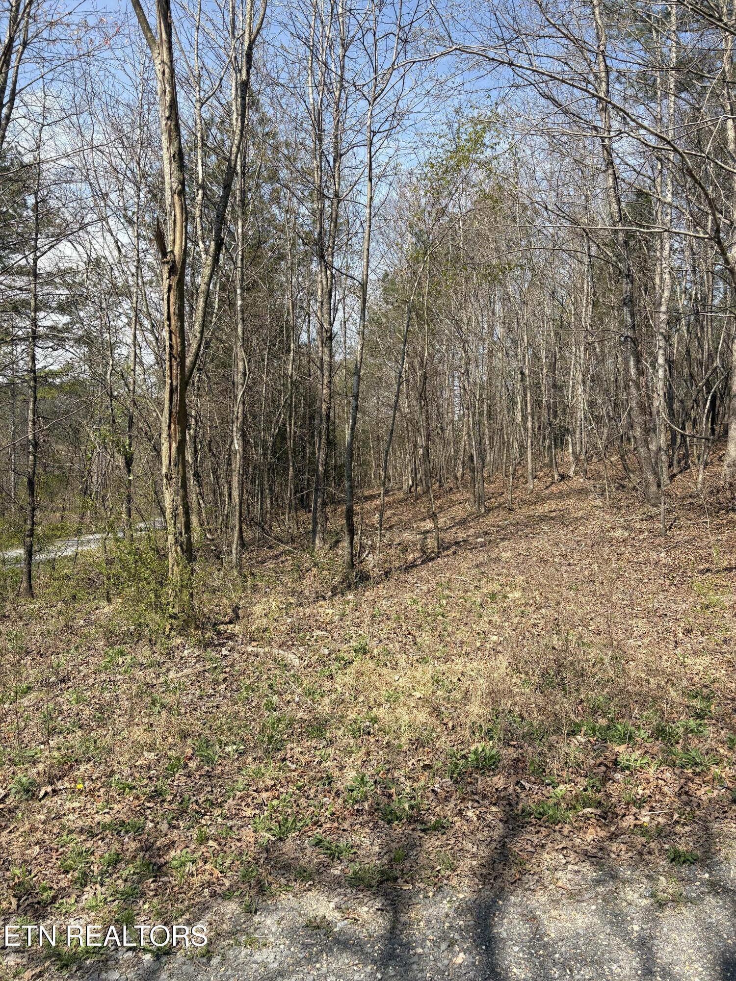 400 Moore Cemetery Rd