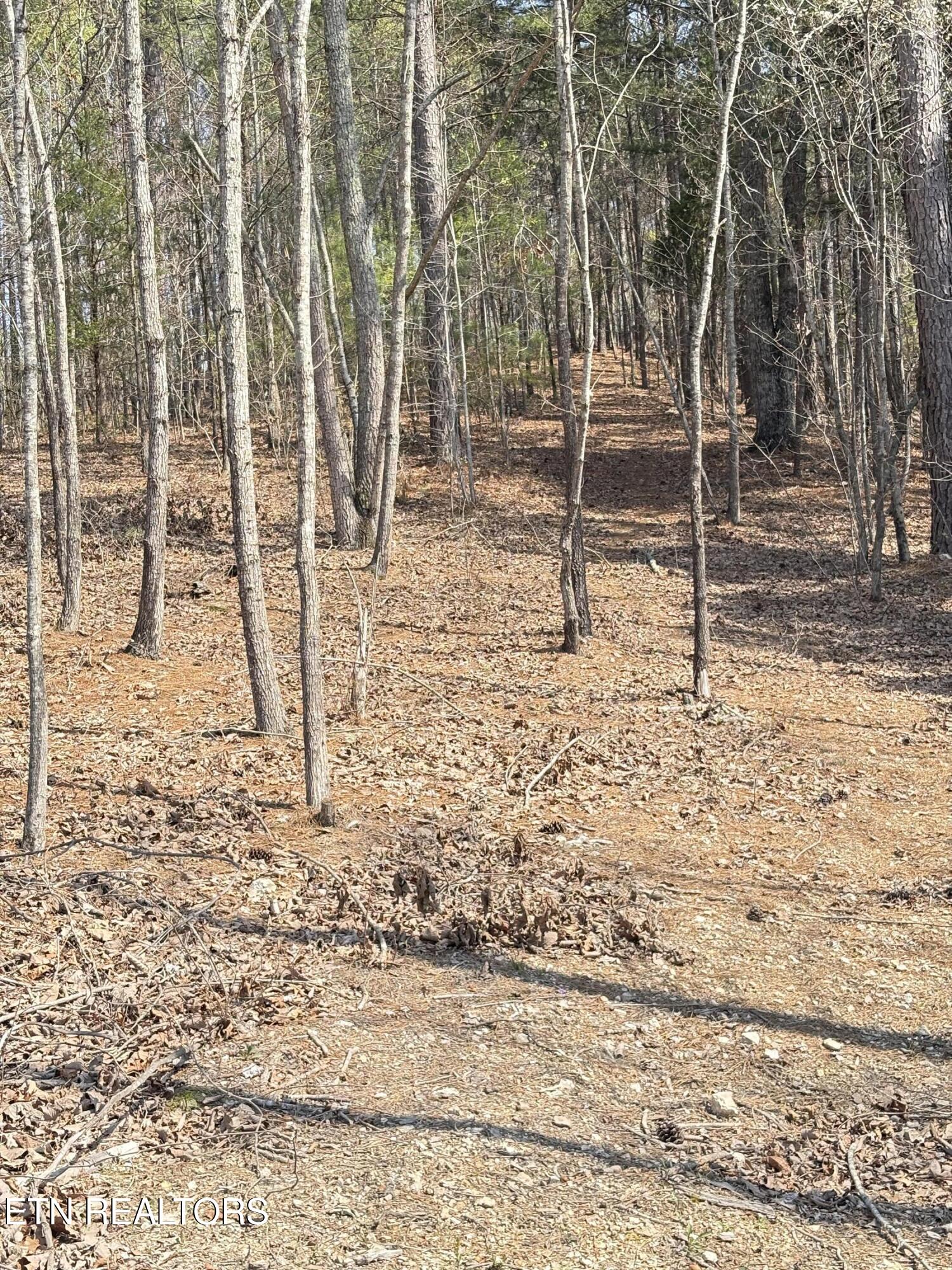 400 Moore Cemetery Rd